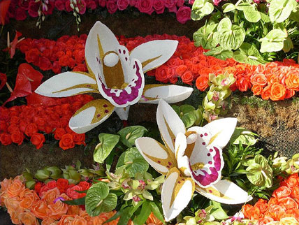 Sierra Madre's 2009 float: 'Bollywood Dreams'