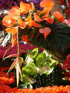 Sierra Madre's 2009 float: 'Bollywood Dreams'