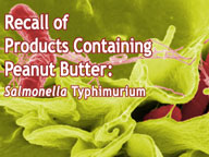 Salmonella outbreak leads to peanut butter recall