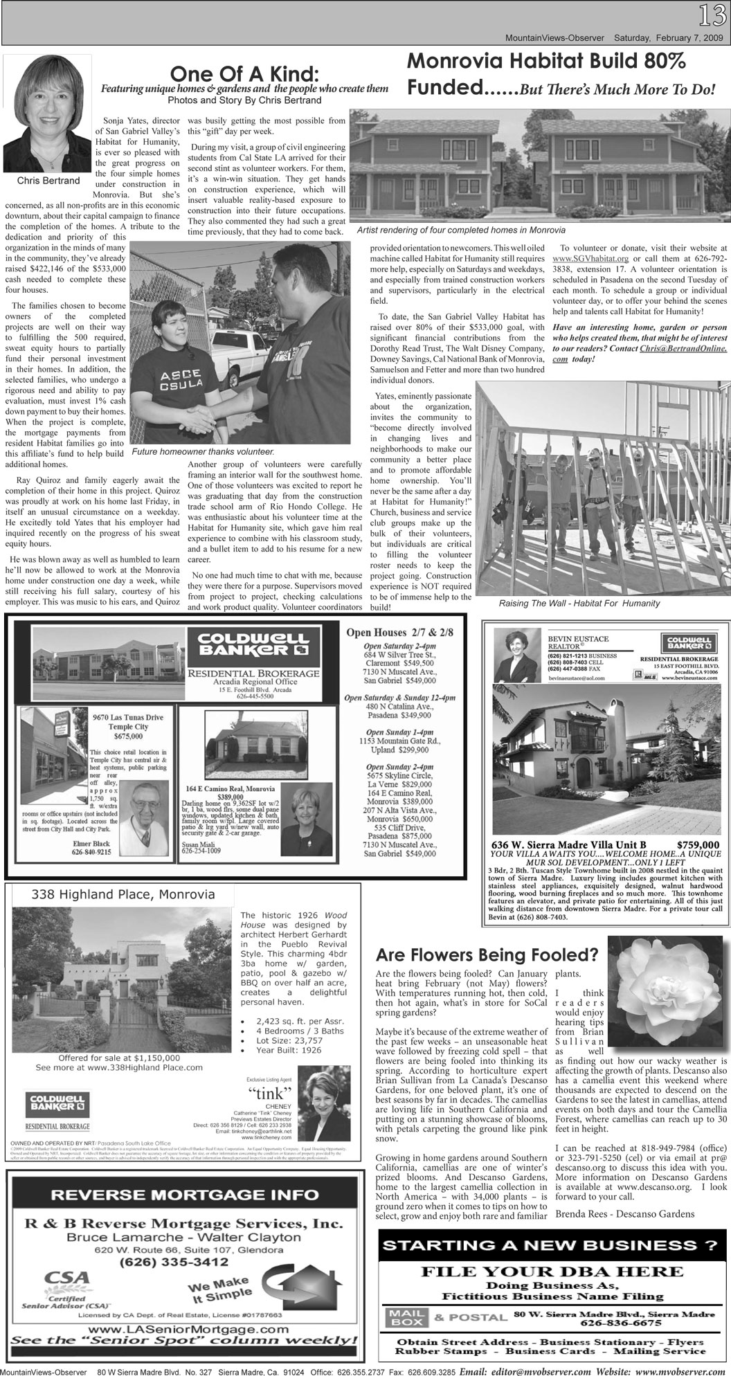 MVO this week:  Page 13
