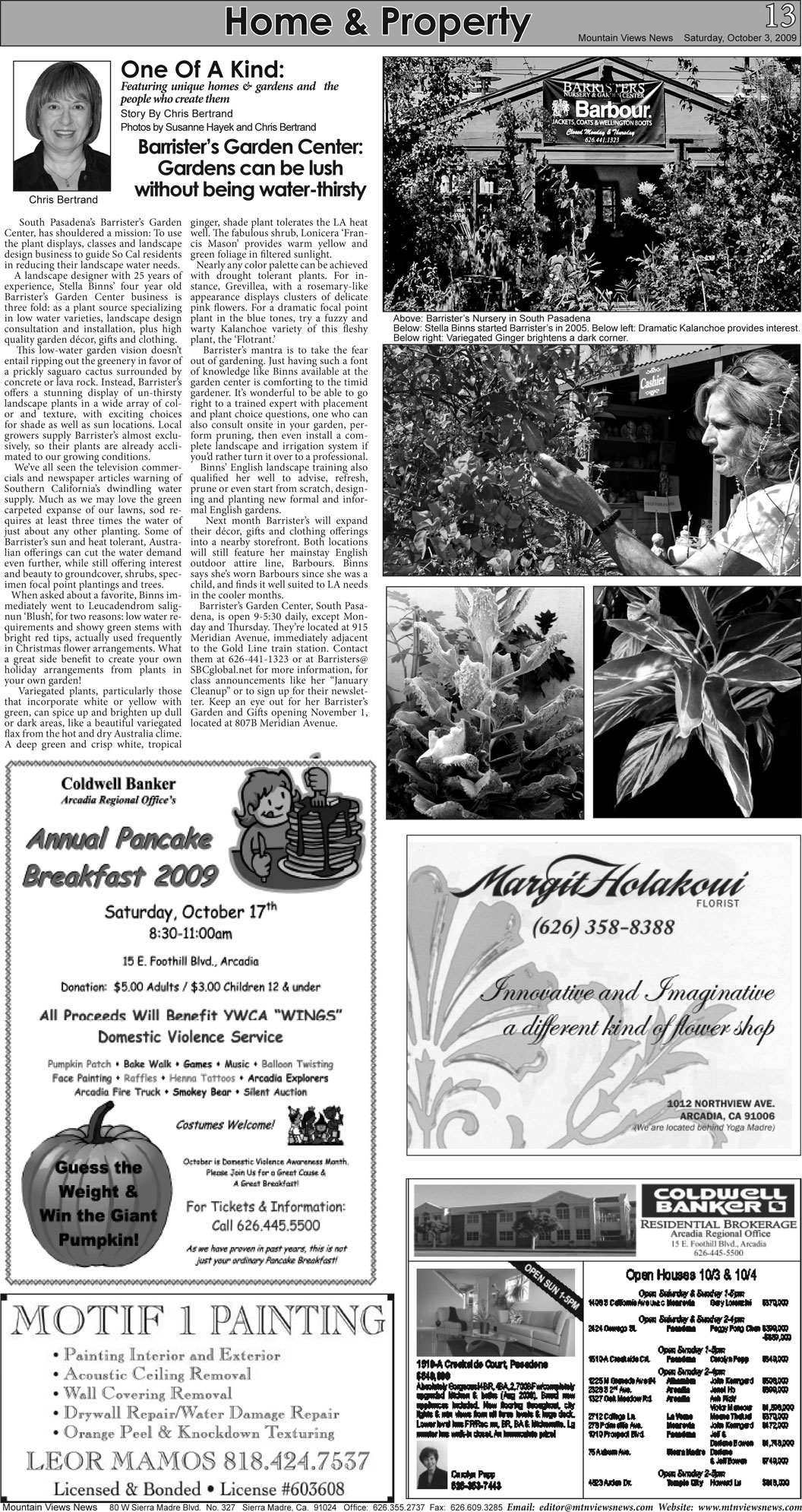 MVNews this week:  Page 13