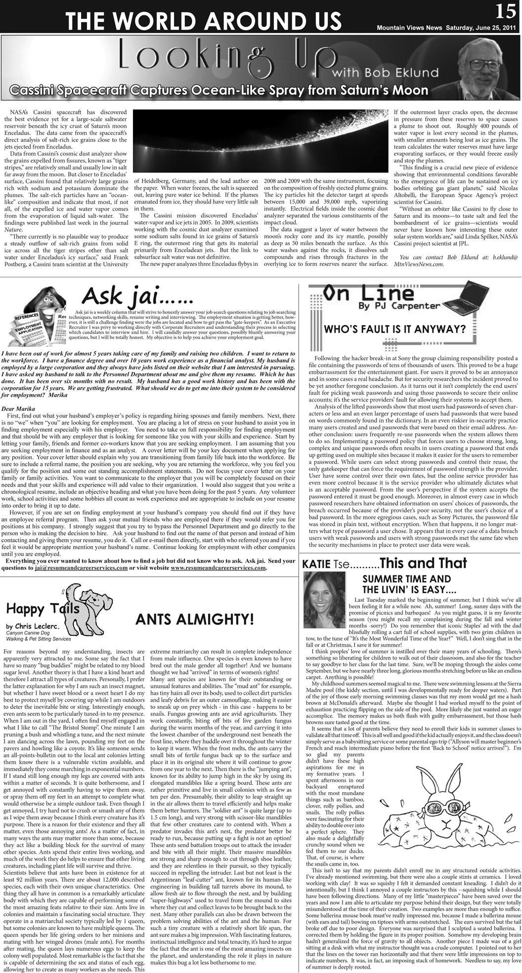 MVNews this week:  Page 15