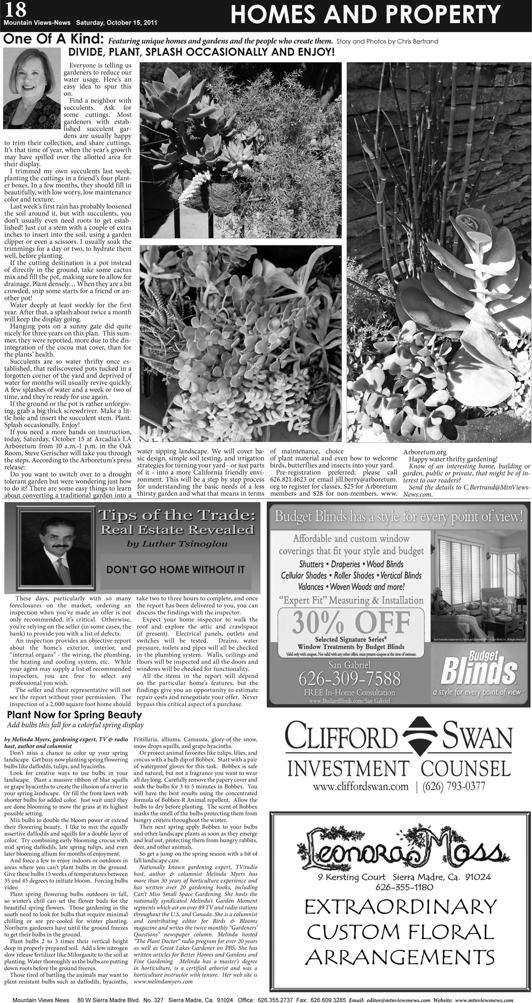 MVNews this week:  Page 18