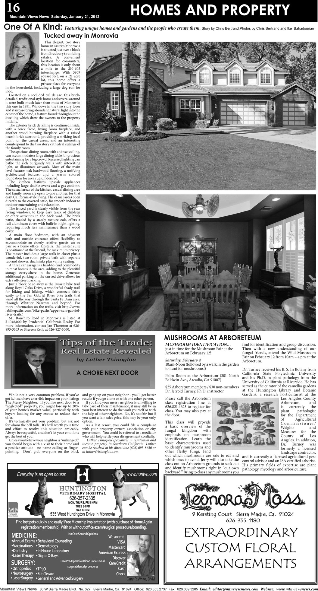 MVNews this week:  Page 16