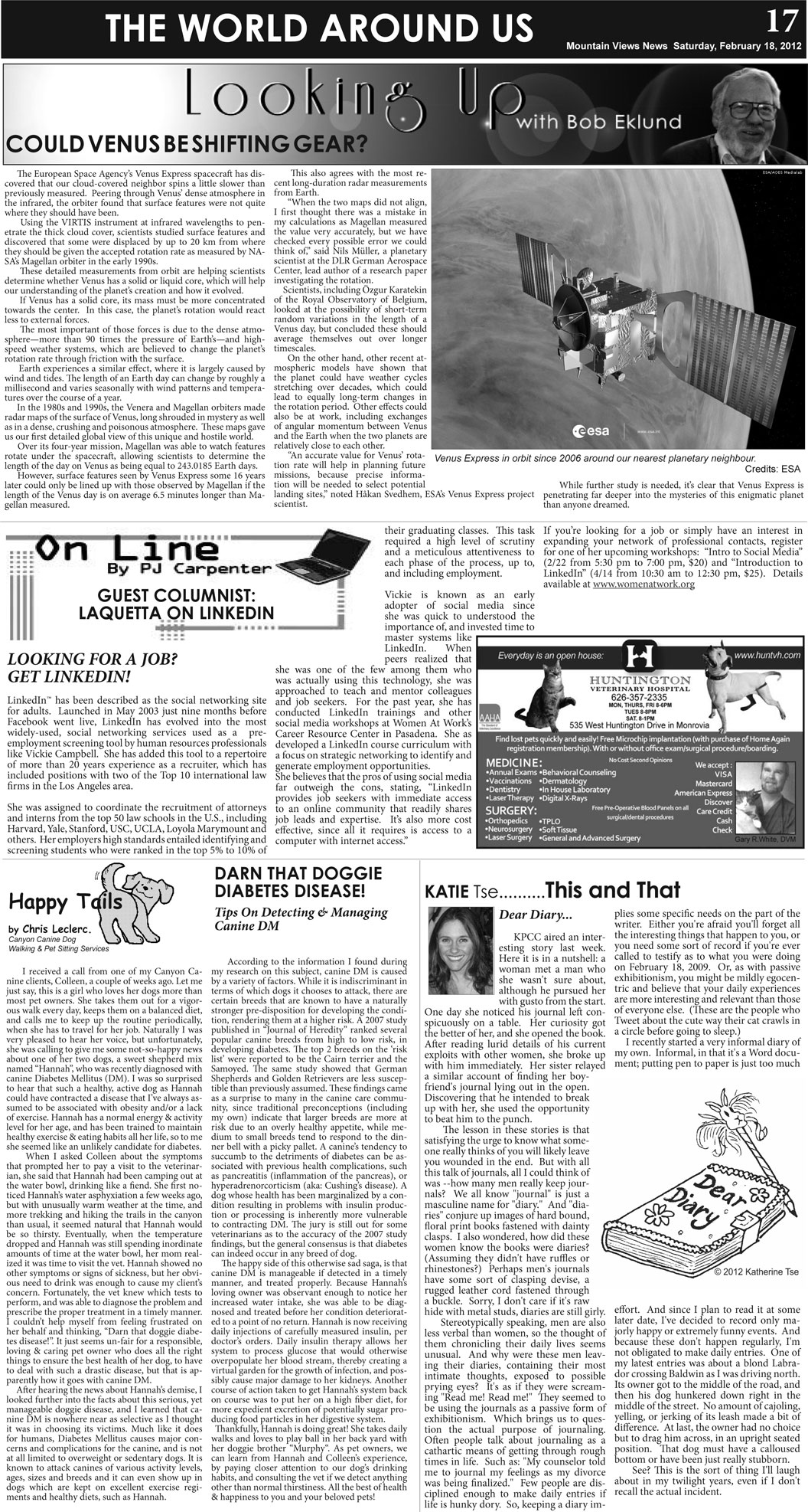 MVNews this week:  Page 17