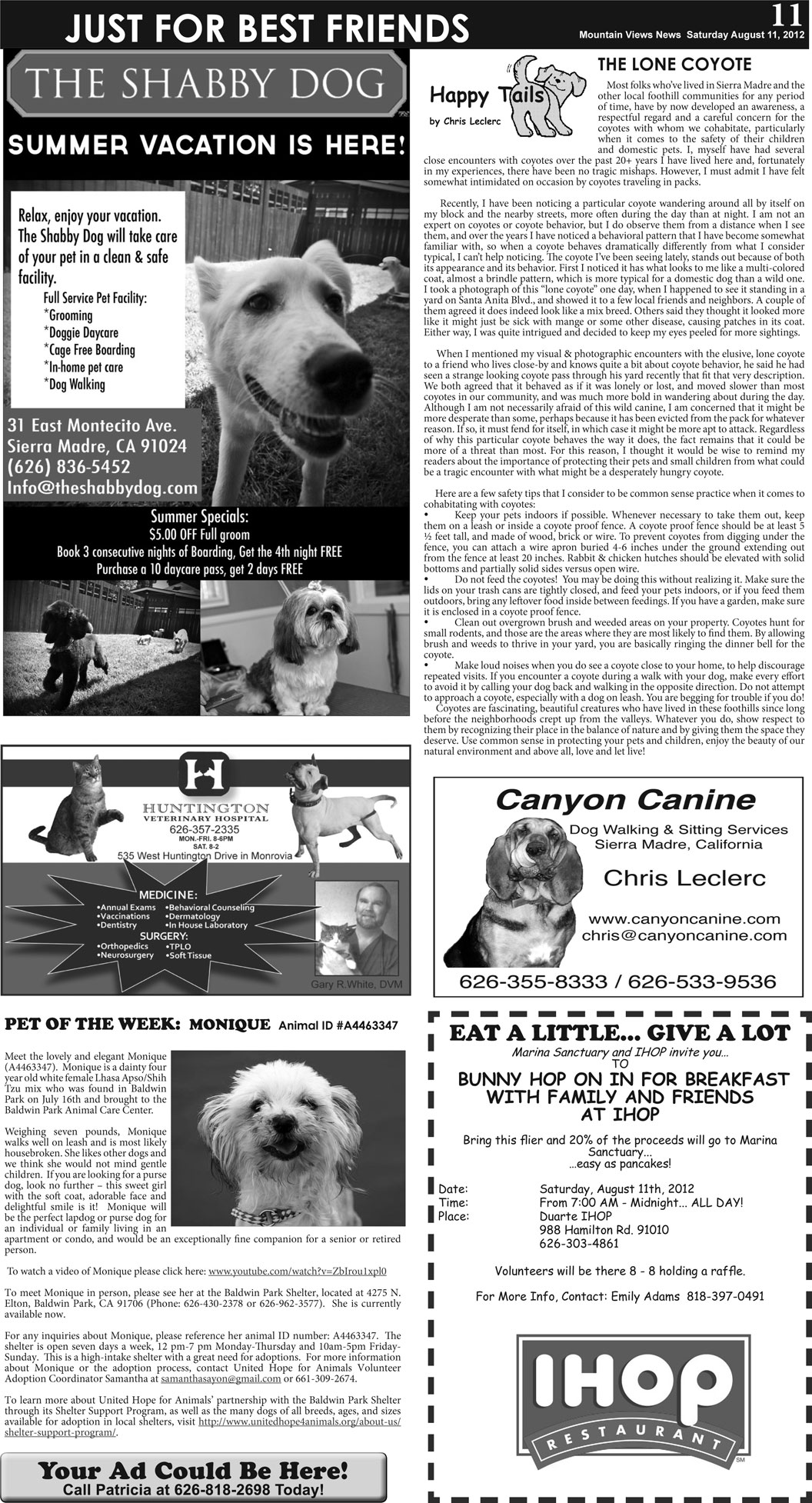 MVNews this week:  Page 11
