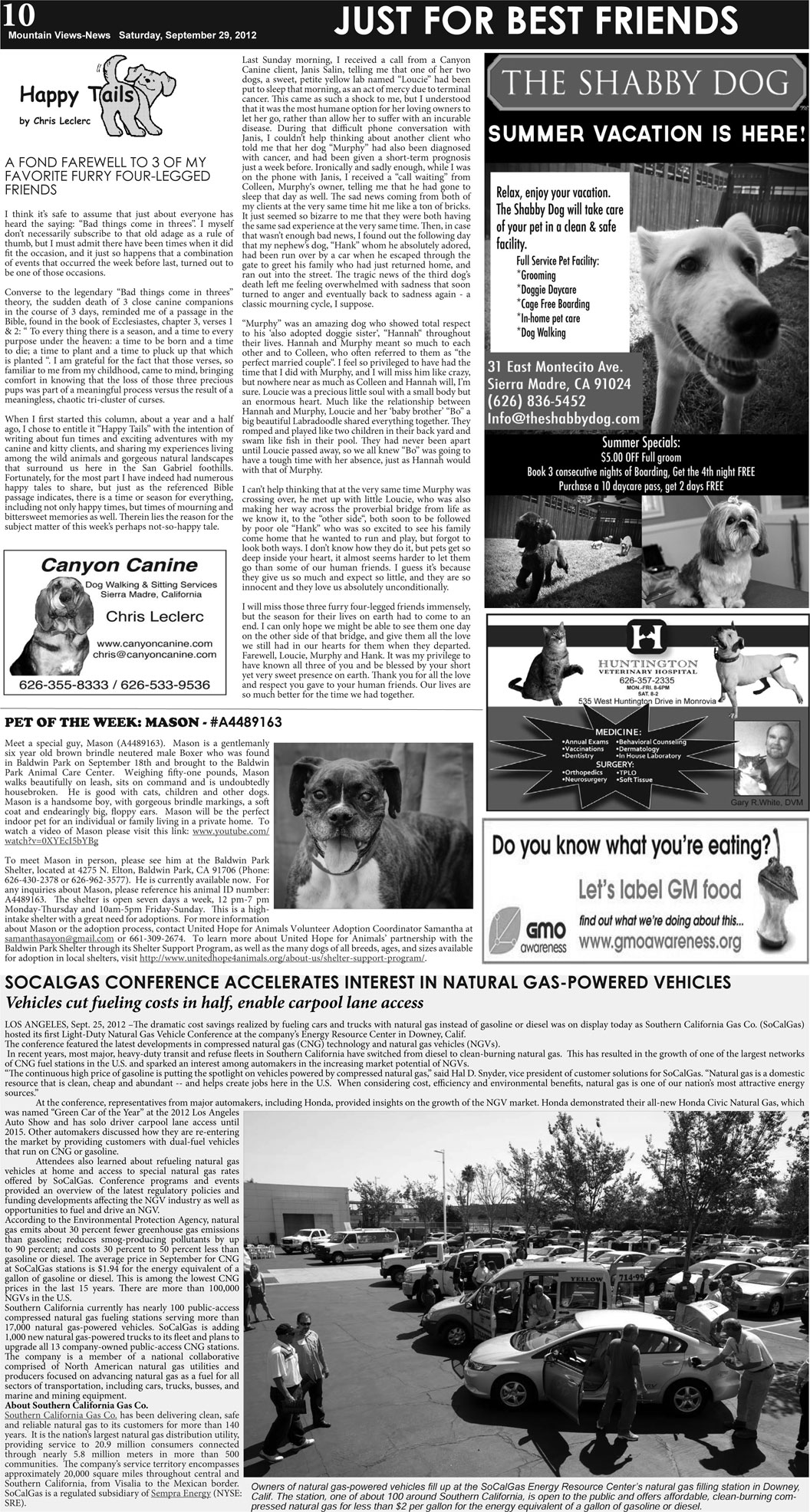MVNews this week:  Page 10