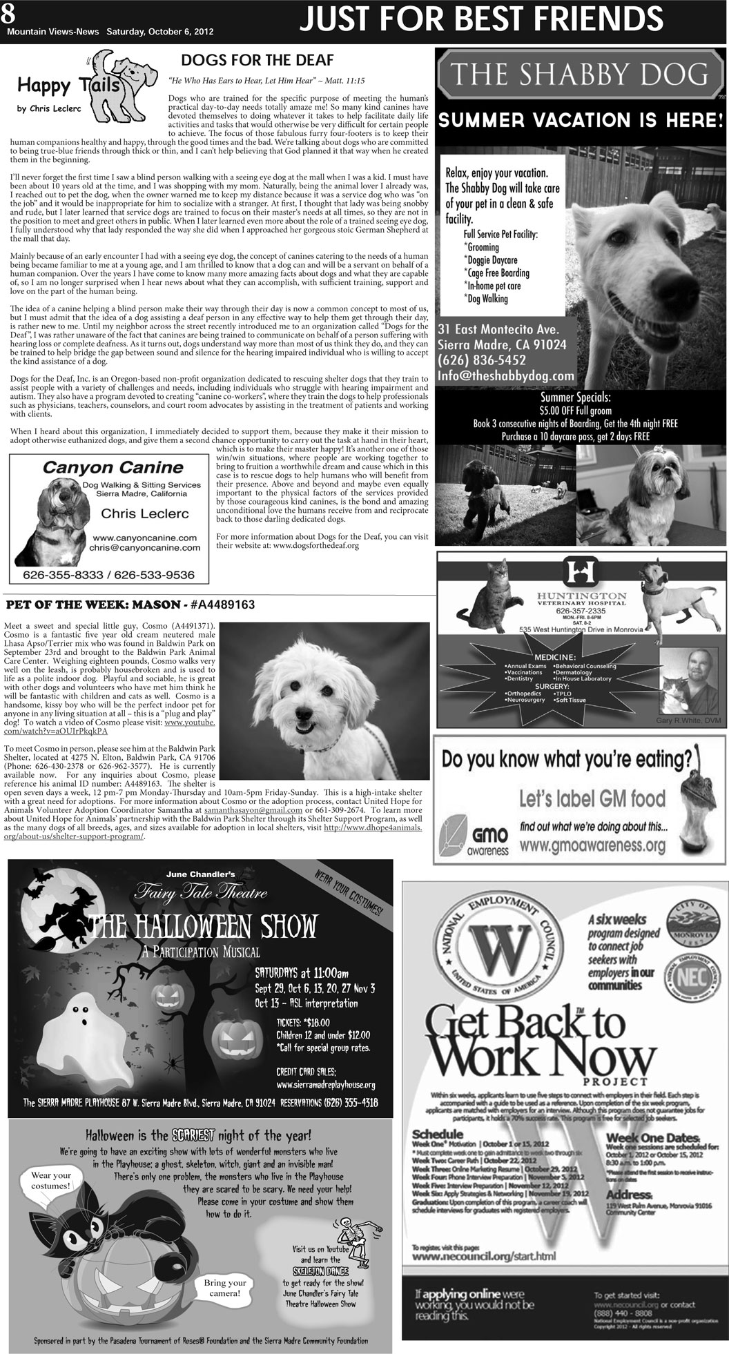 MVNews this week:  Page 8