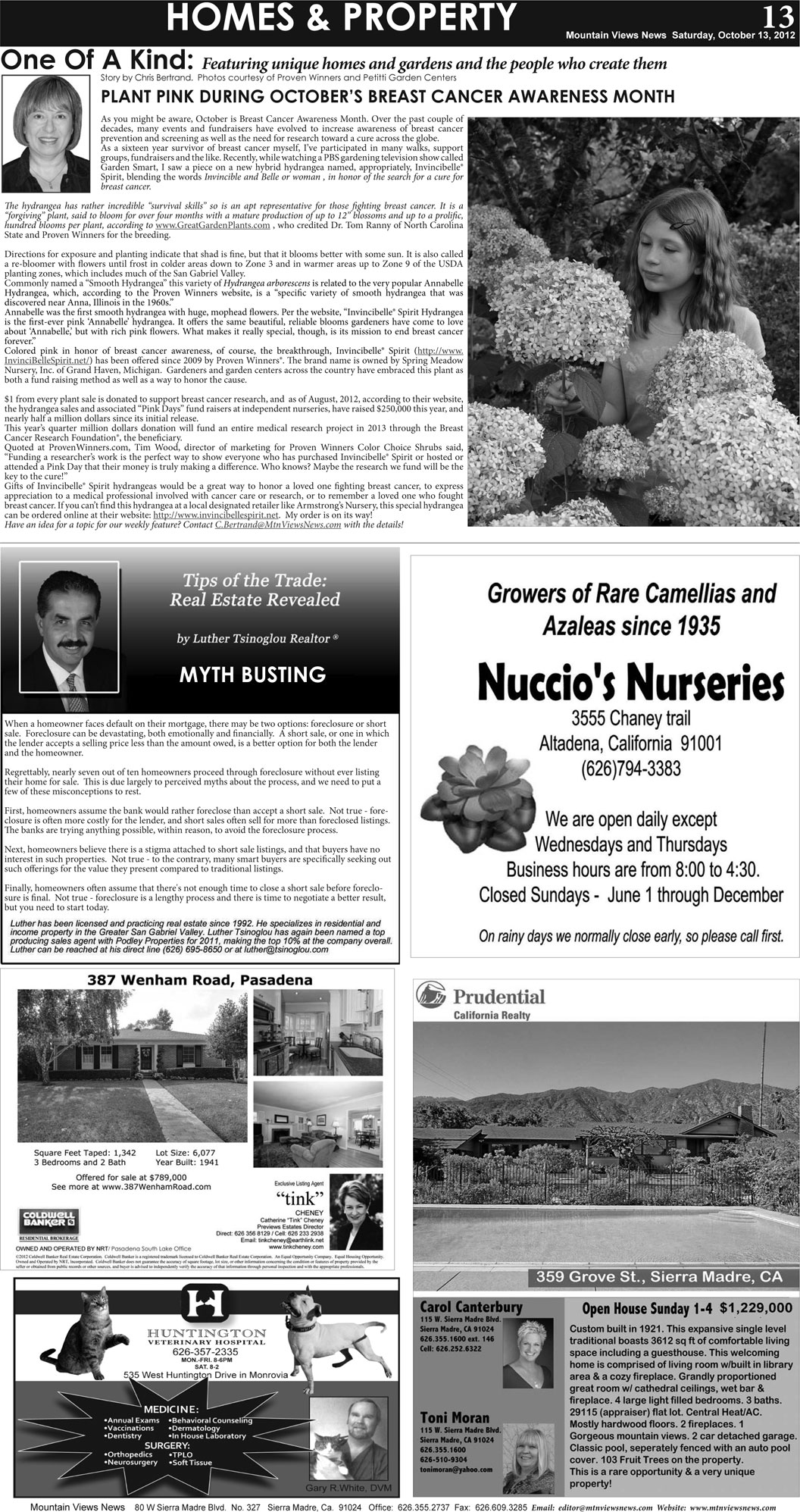 MVNews this week:  Page 13