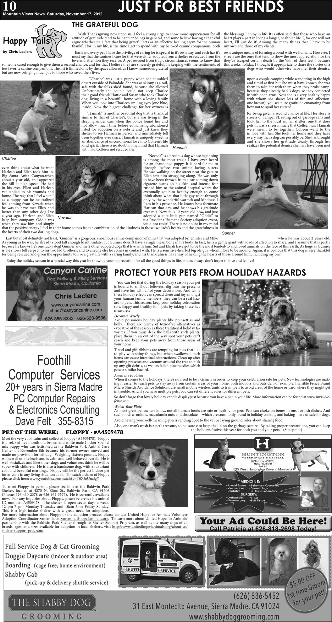 MVNews this week:  Page 10