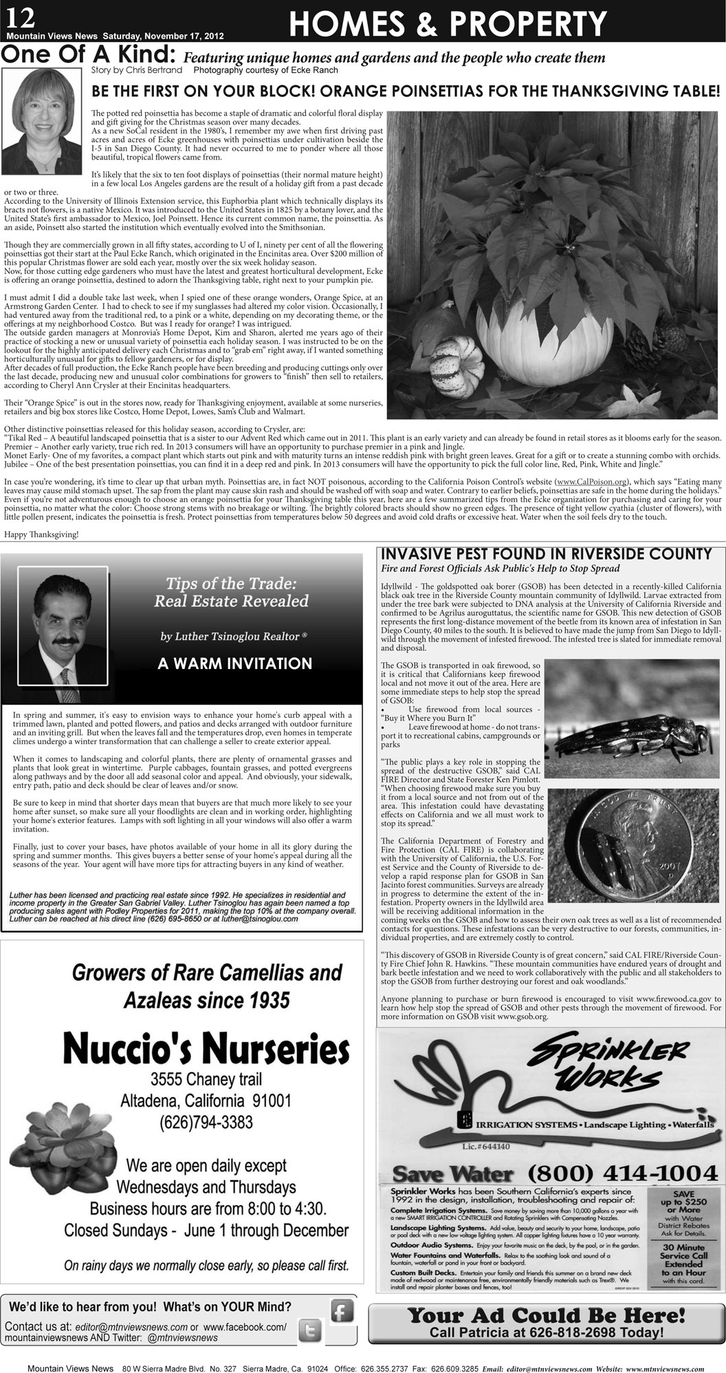 MVNews this week:  Page 12