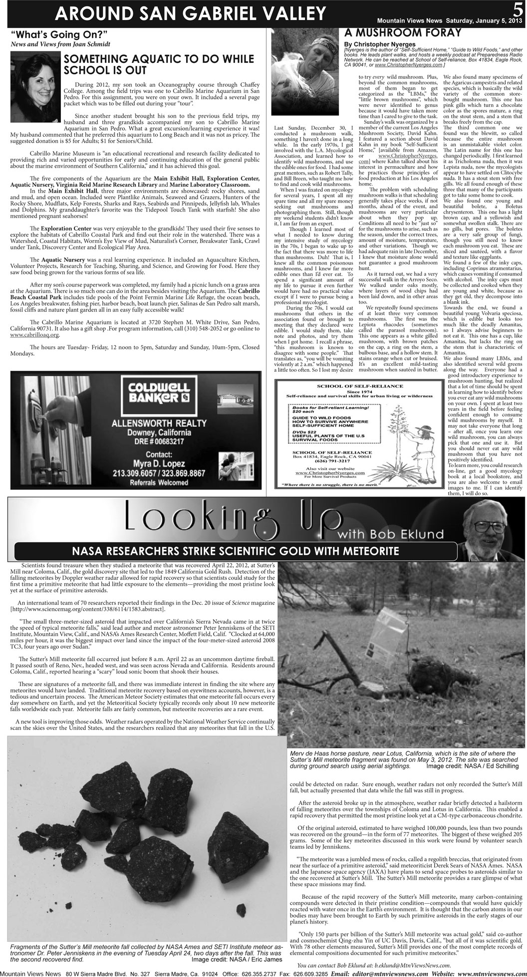 MVNews this week:  Page 5