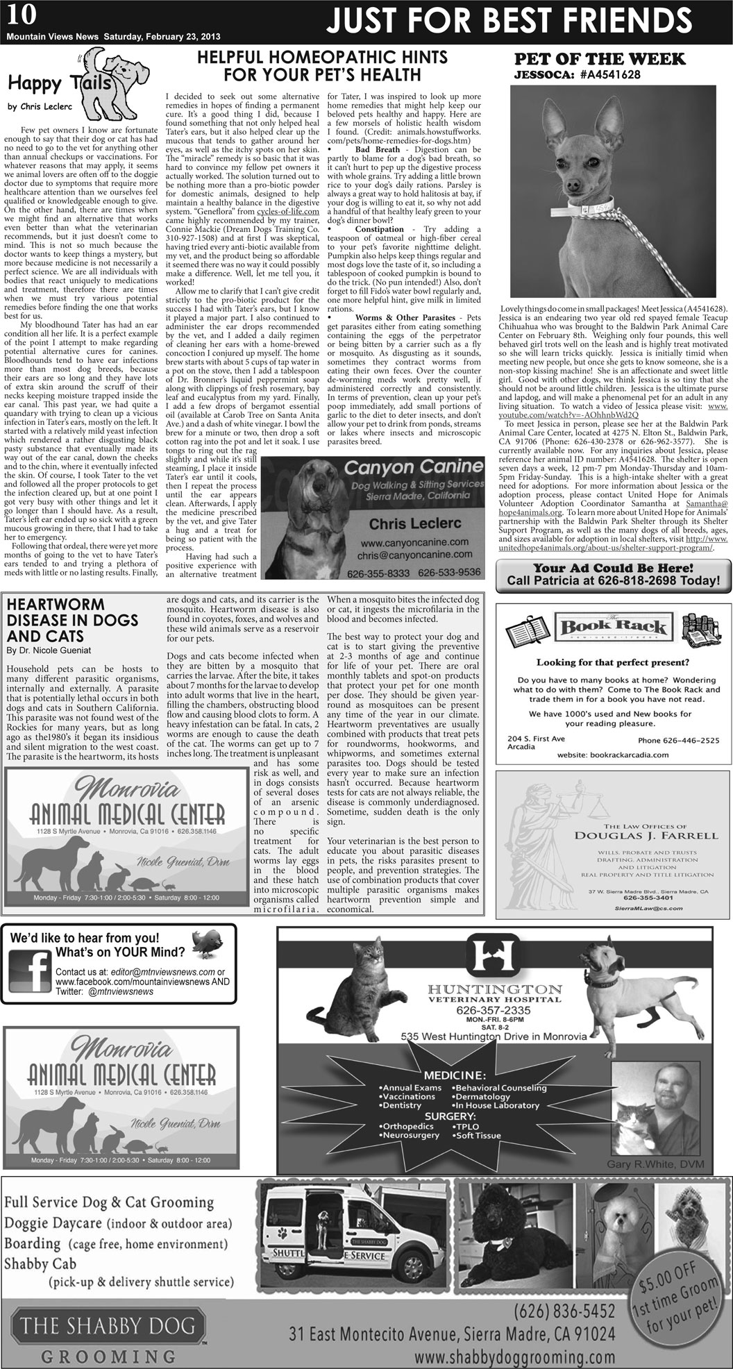 MVNews this week:  Page 10