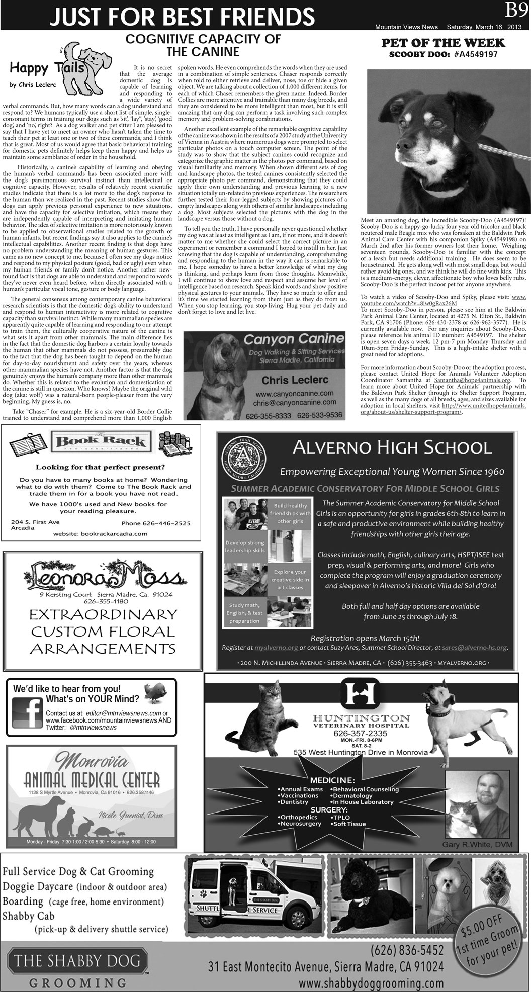 MVNews this week:  Page B:9