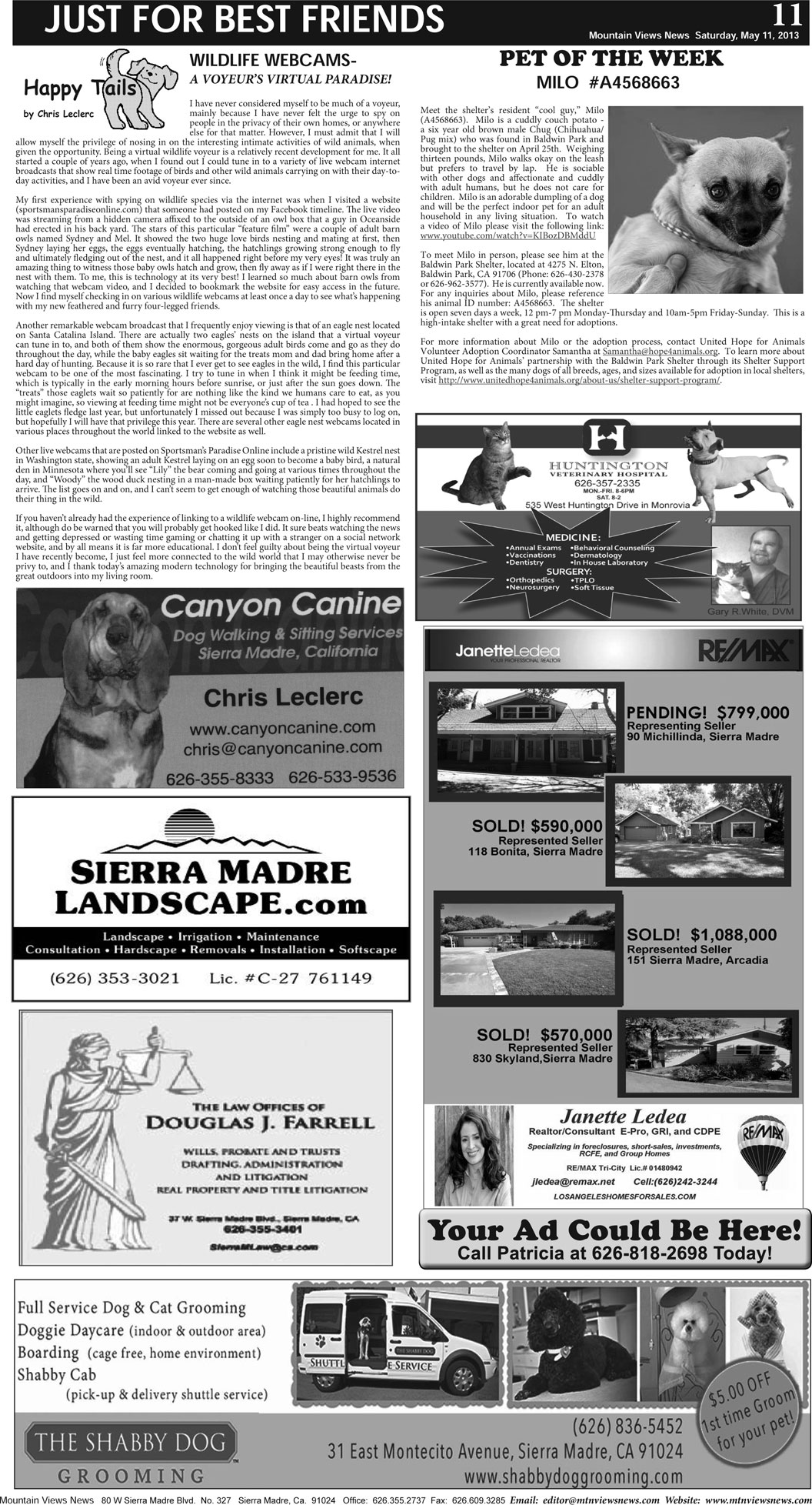 MVNews this week:  Page 11