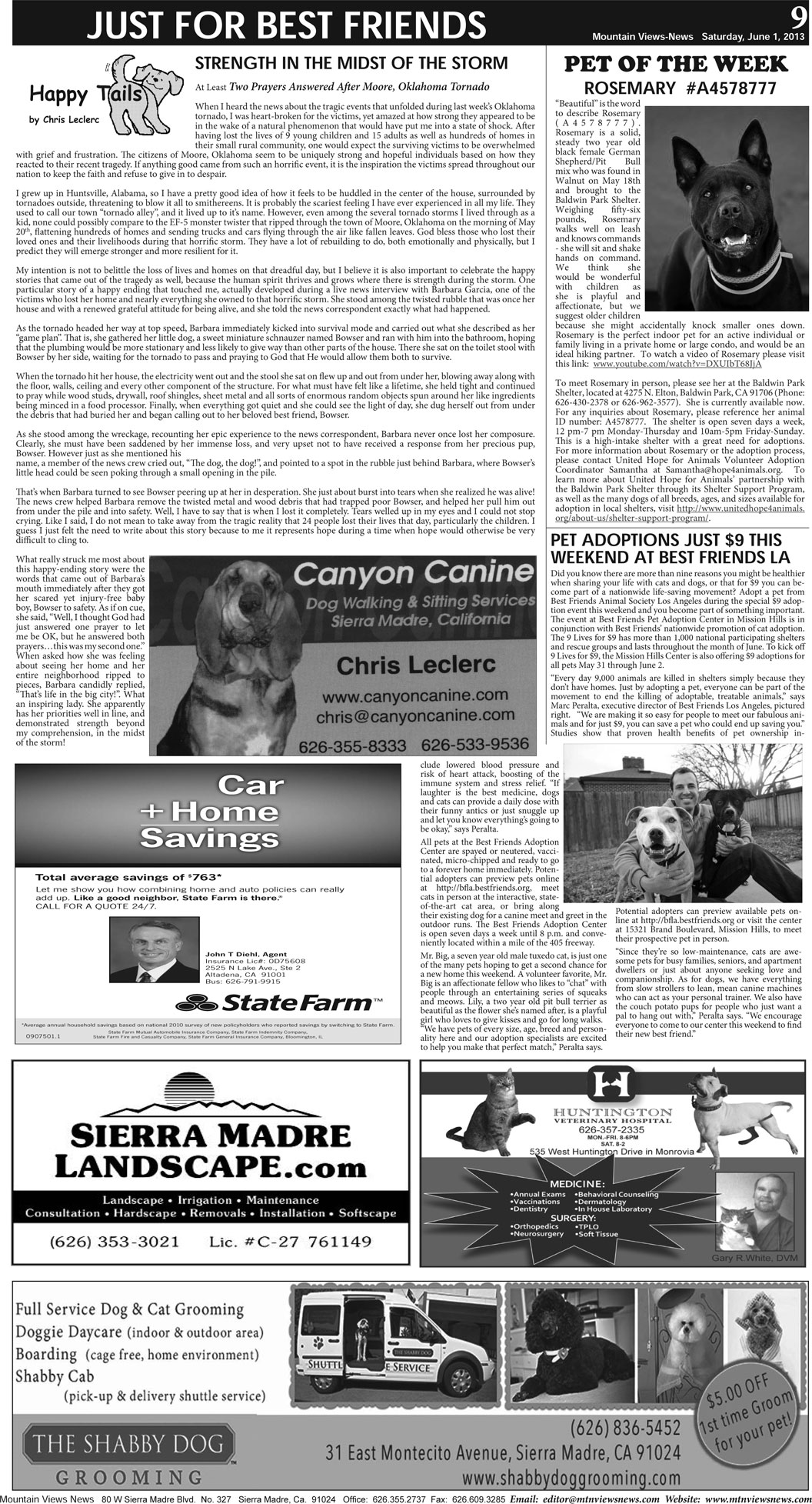 MVNews this week:  Page A:9