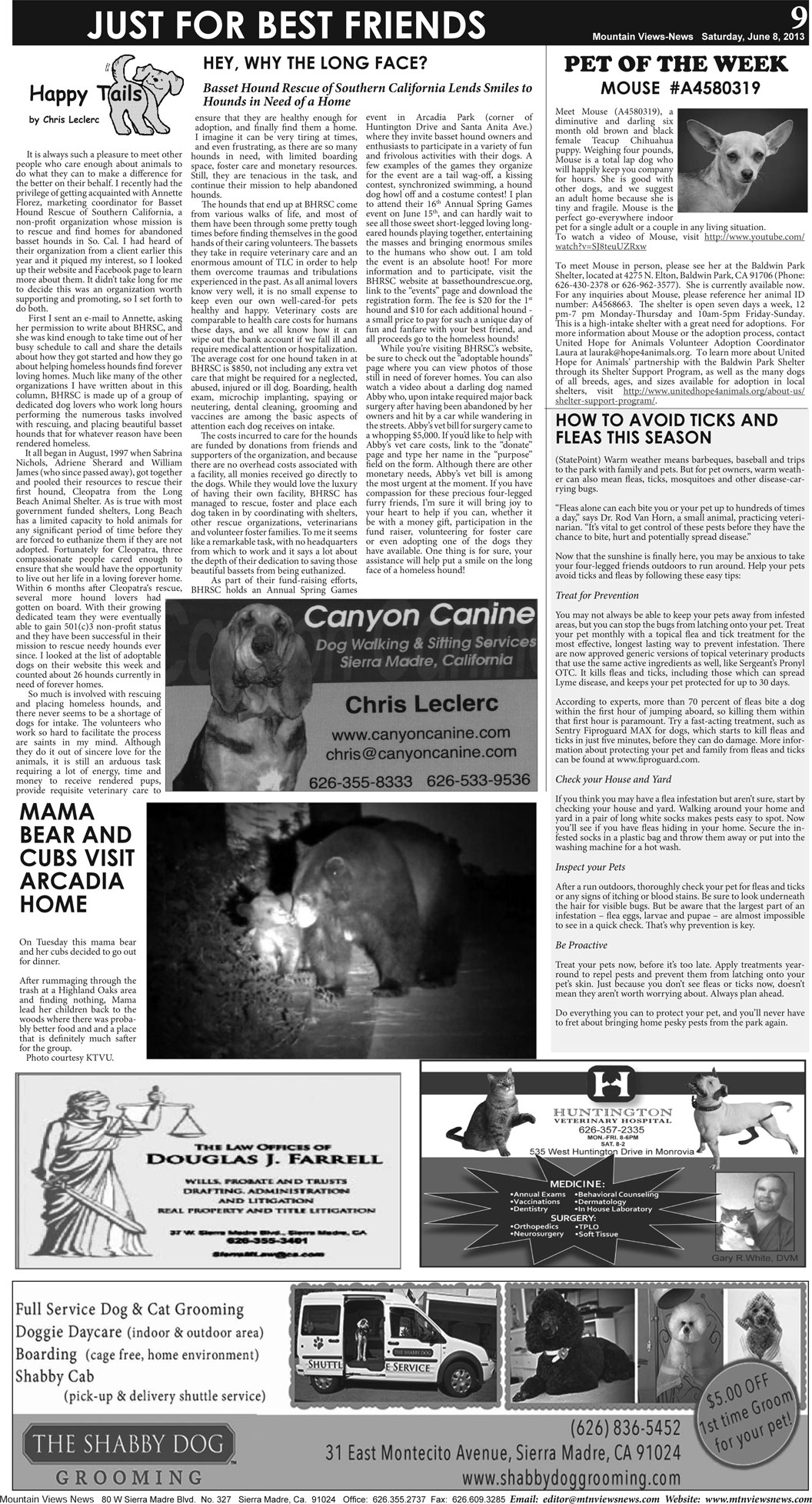 MVNews this week:  Page 9