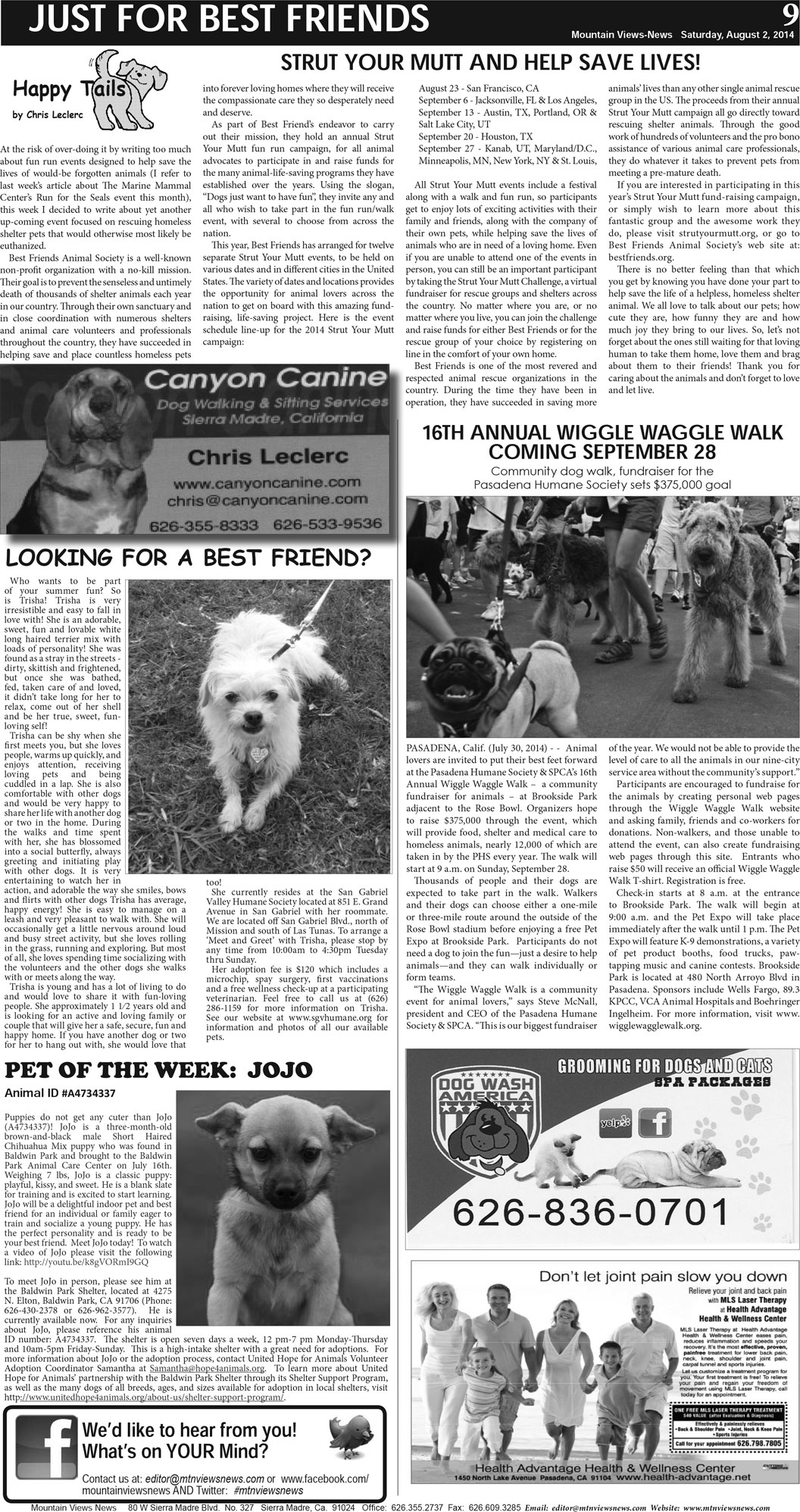 MVNews this week:  Page A:9