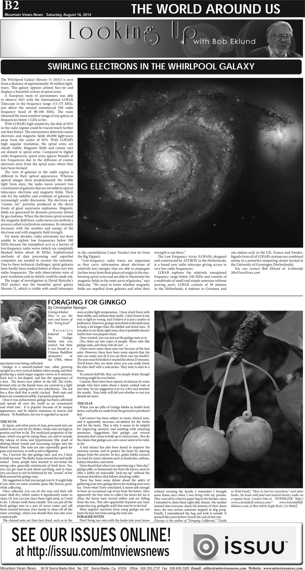 MVNews this week:  Page B:2