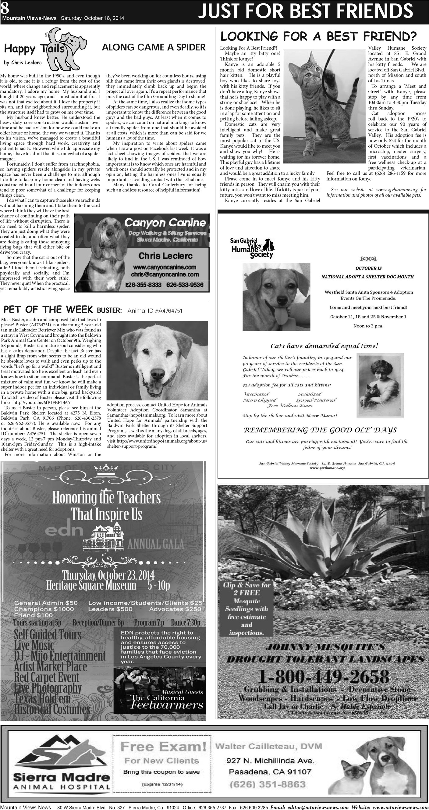 MVNews this week:  Page A:8