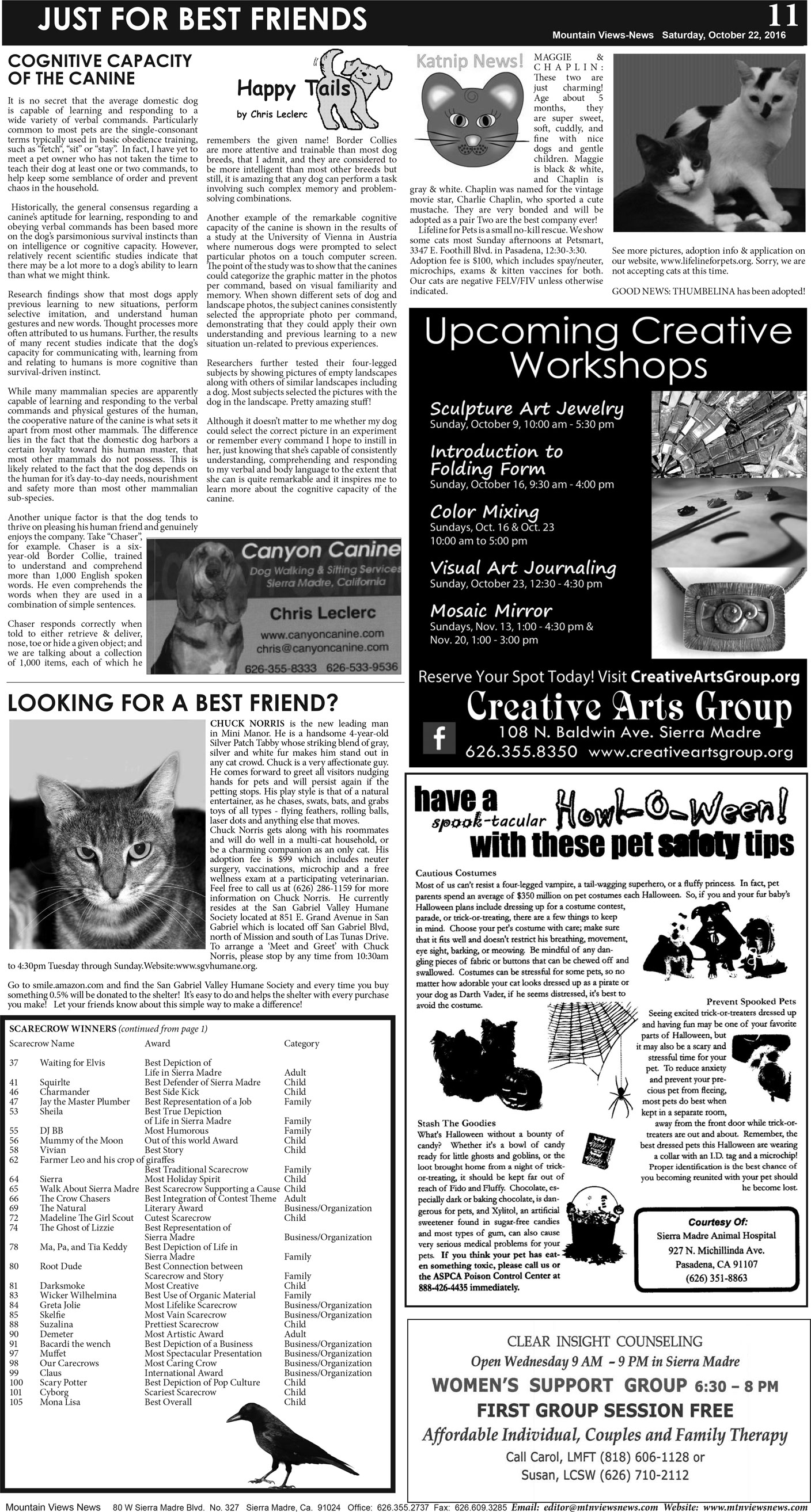MVNews this week:  Page A:11