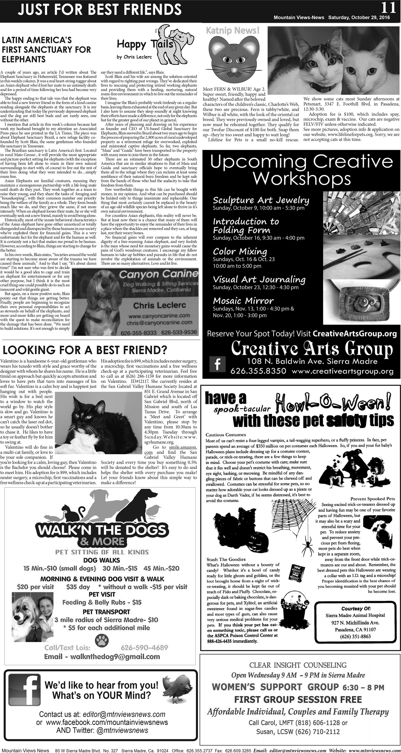 MVNews this week:  Page A:11