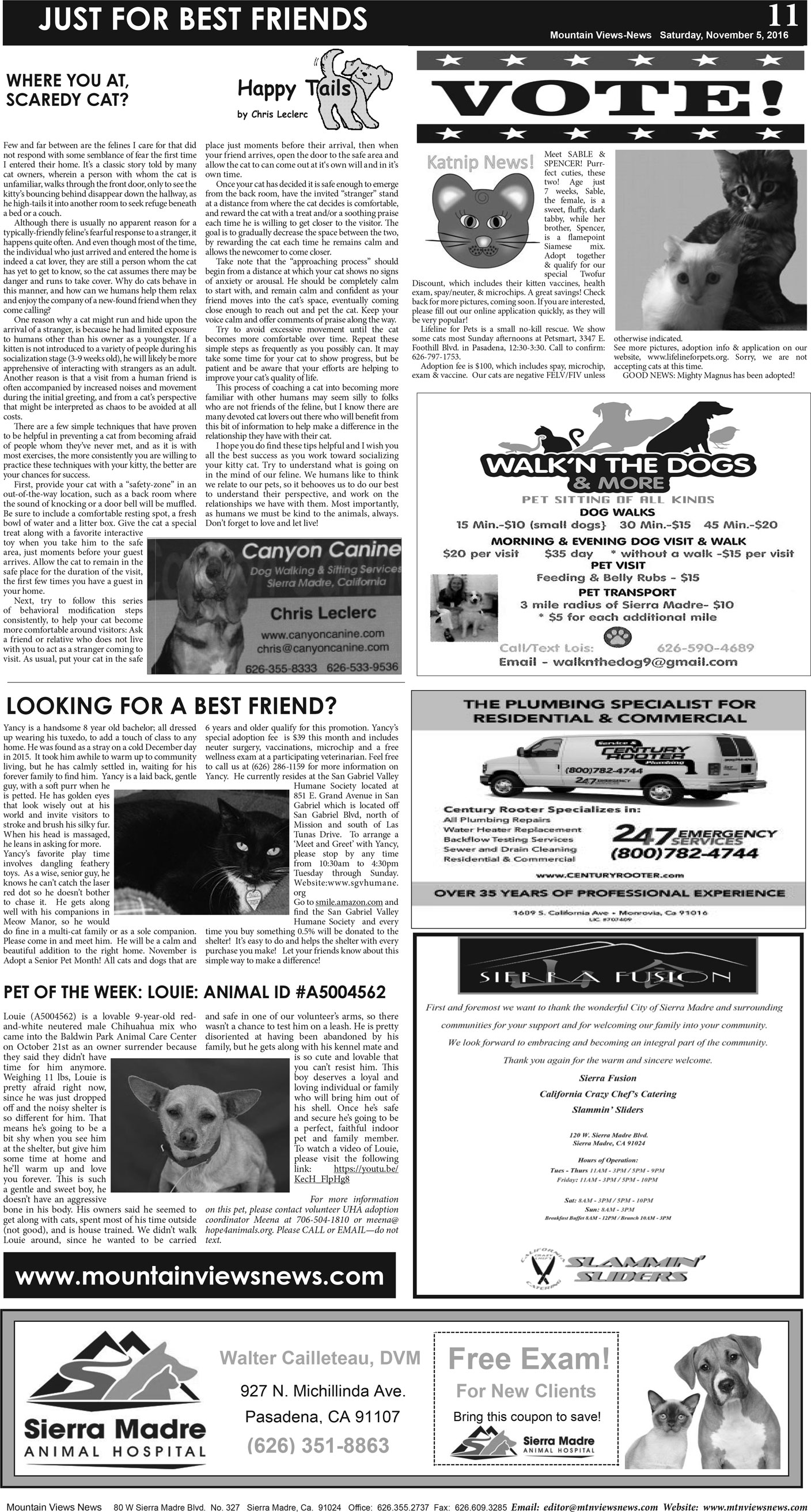 MVNews this week:  Page A:11