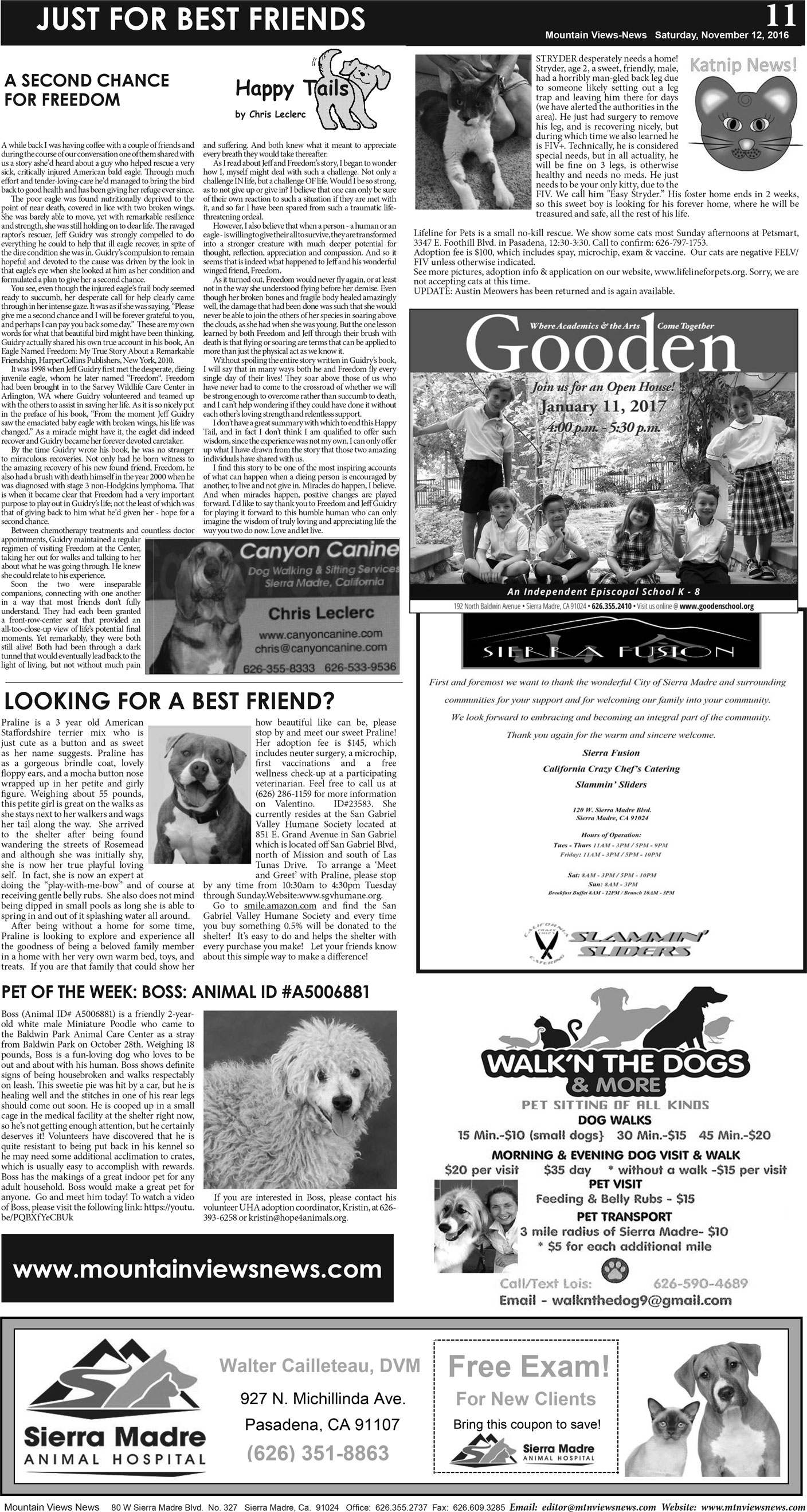 MVNews this week:  Page A:11