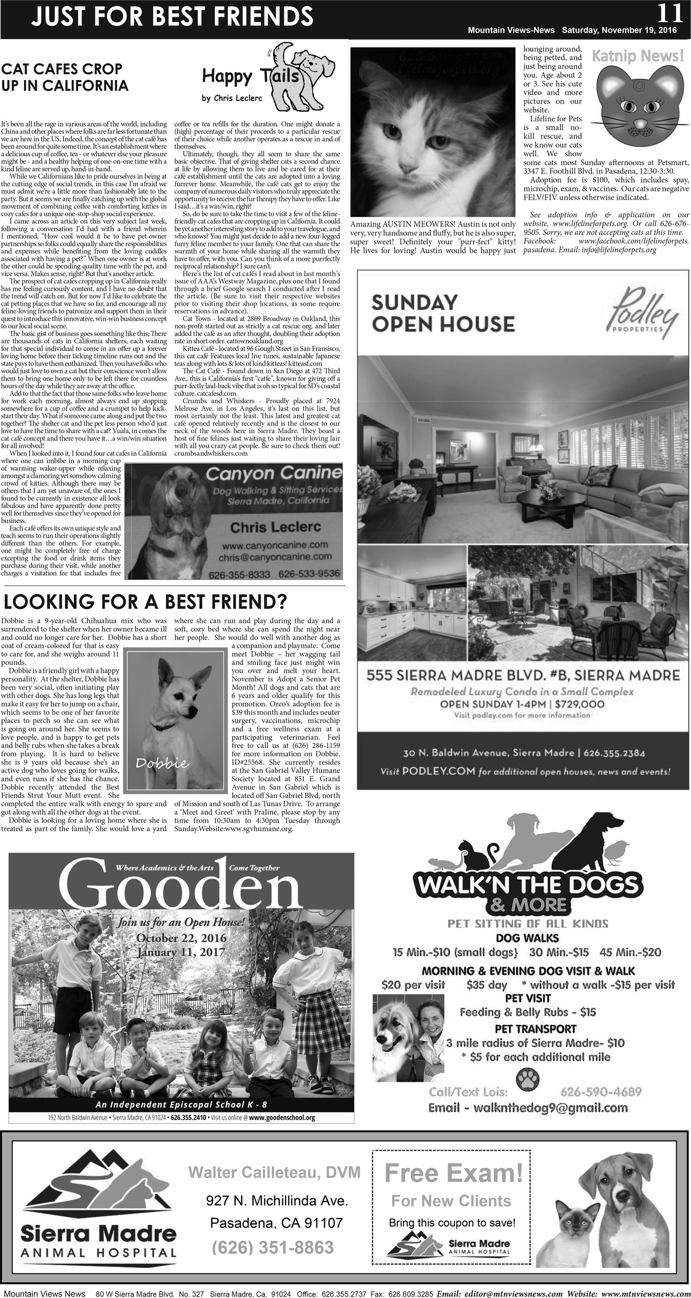 MVNews this week:  Page A:11