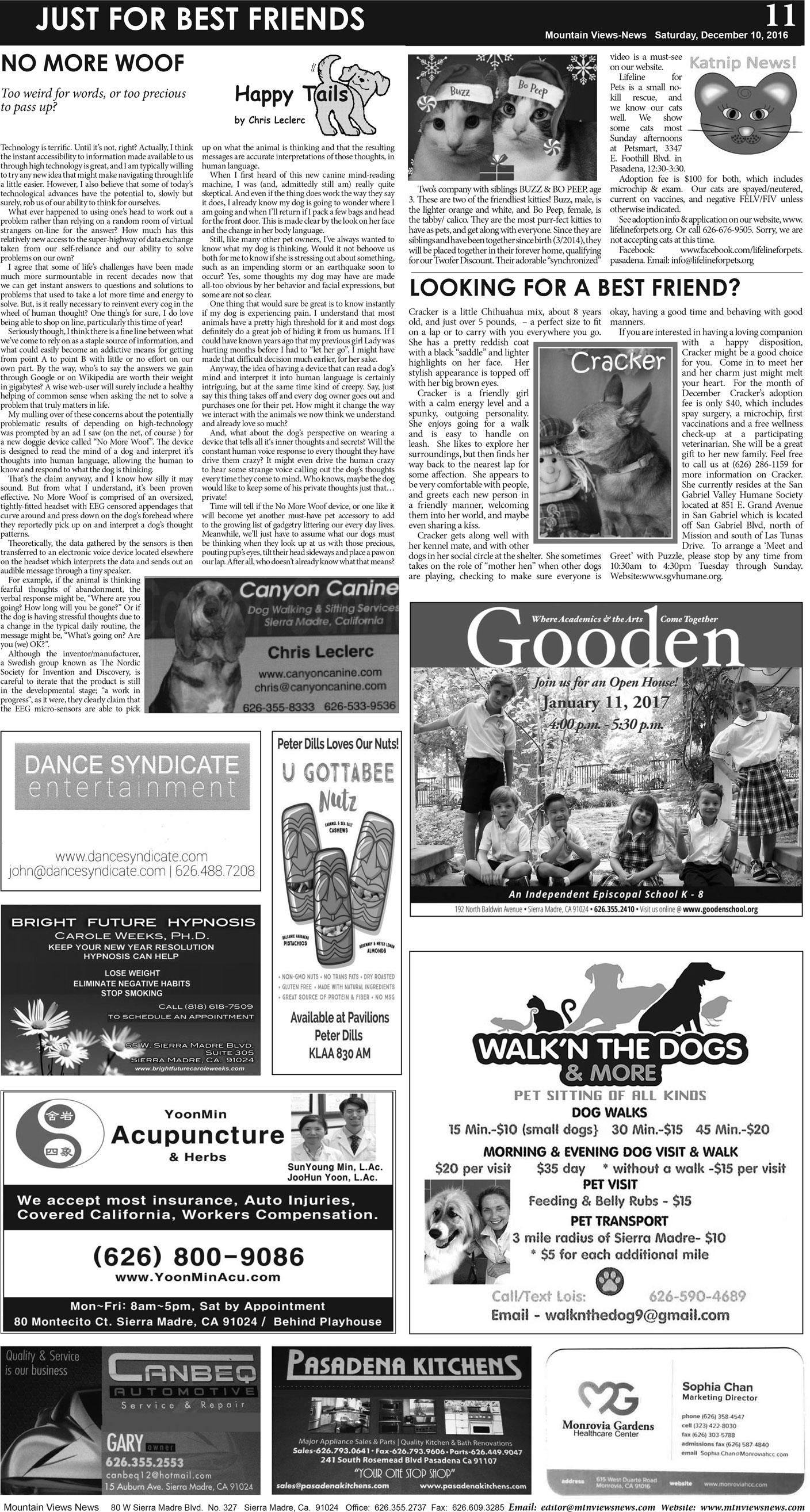MVNews this week:  Page A:11