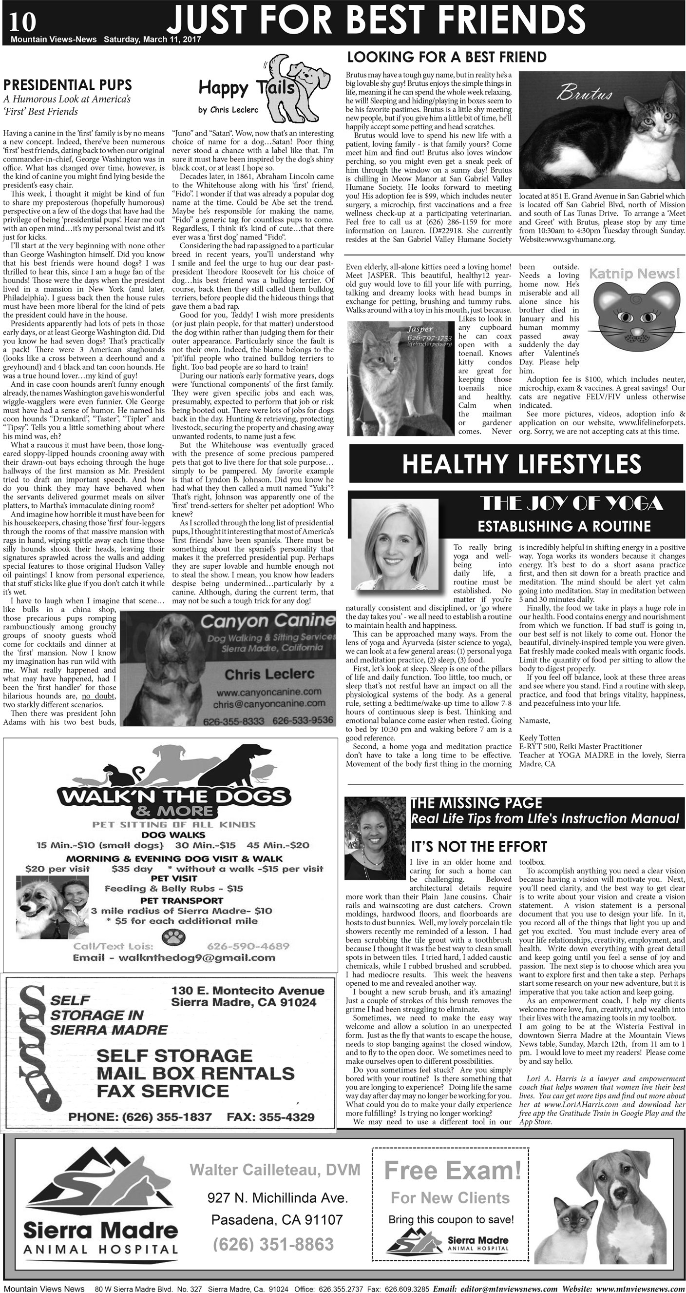 MVNews this week:  Page A:10