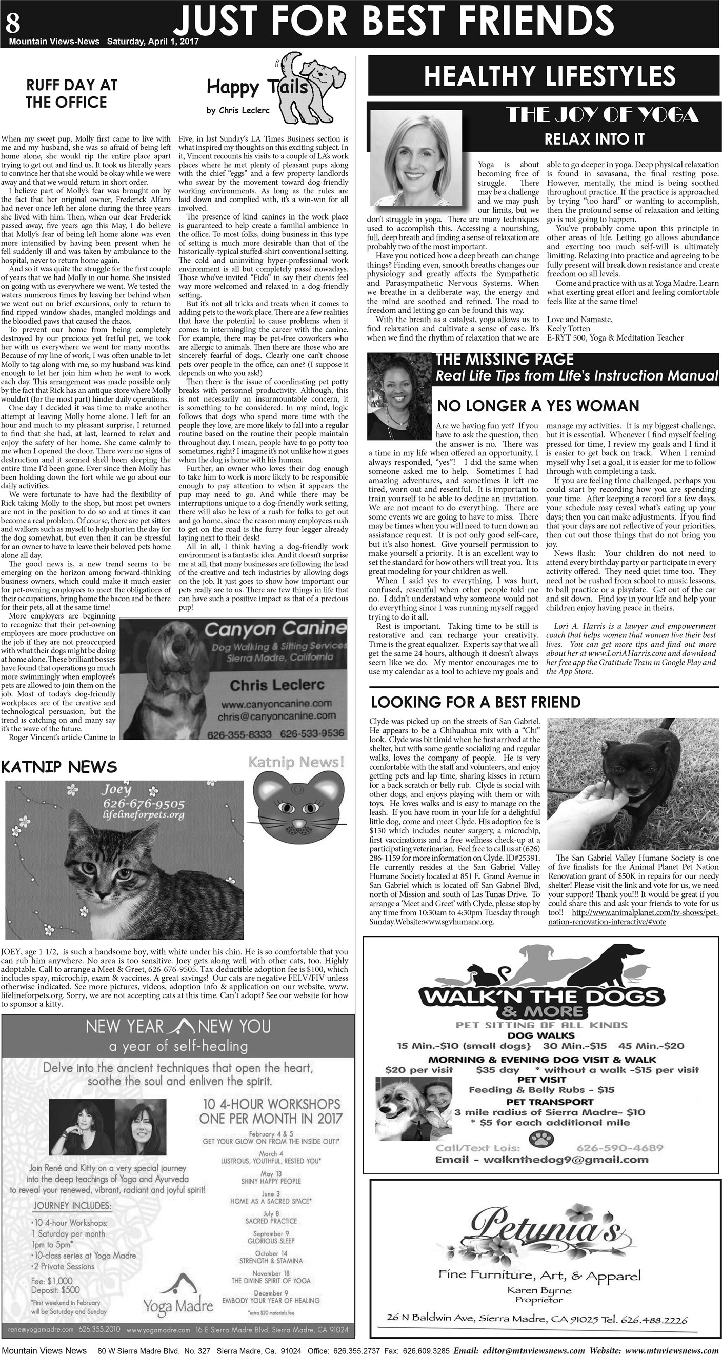 MVNews this week:  Page A:8