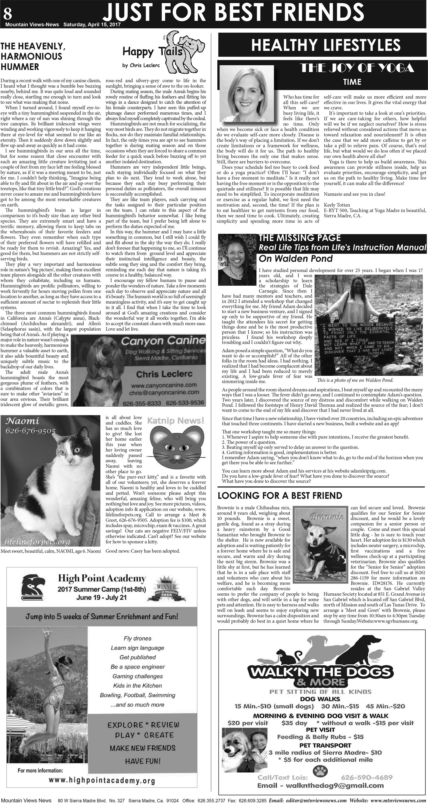 MVNews this week:  Page A:8