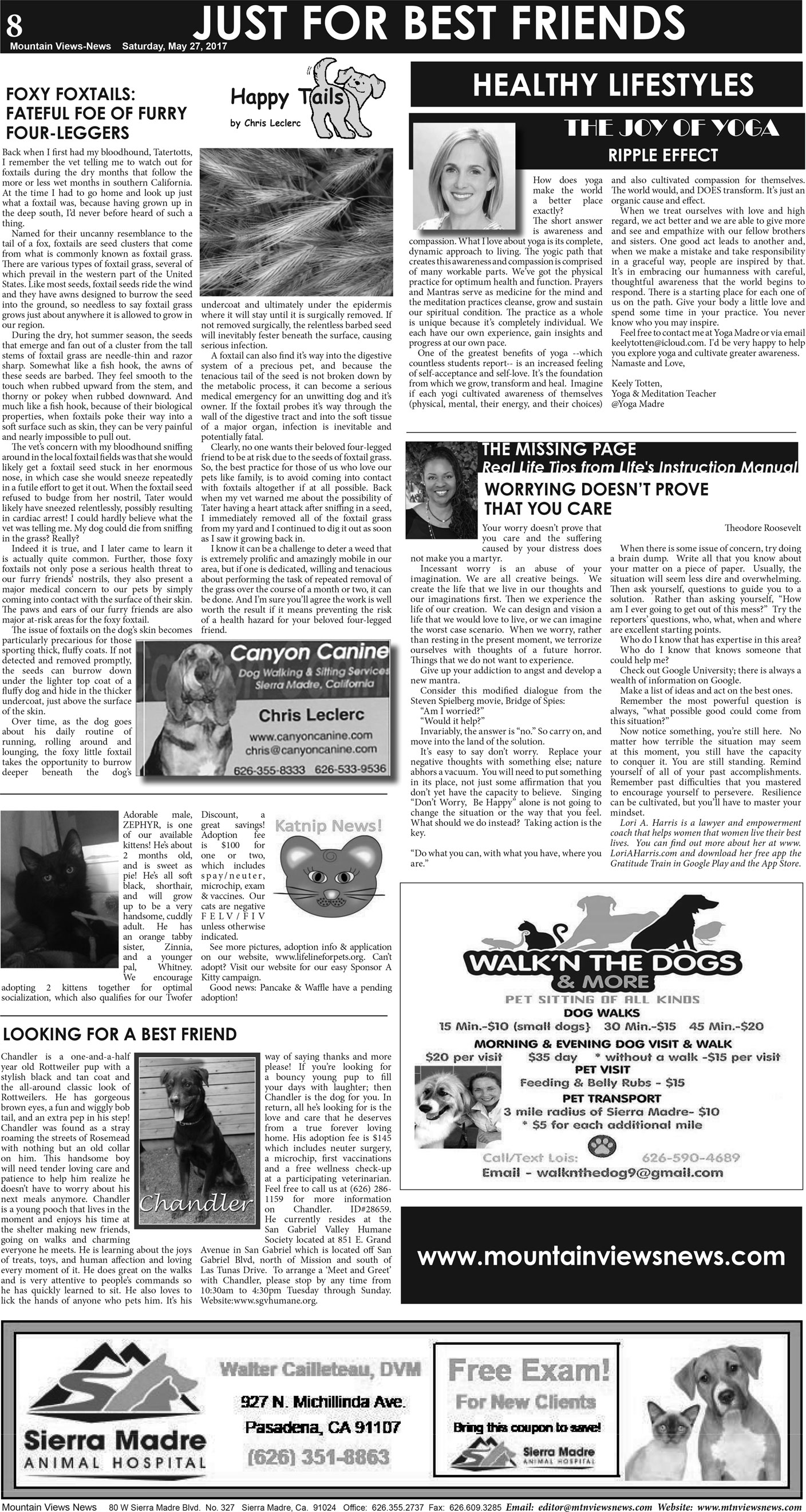 MVNews this week:  Page A:8