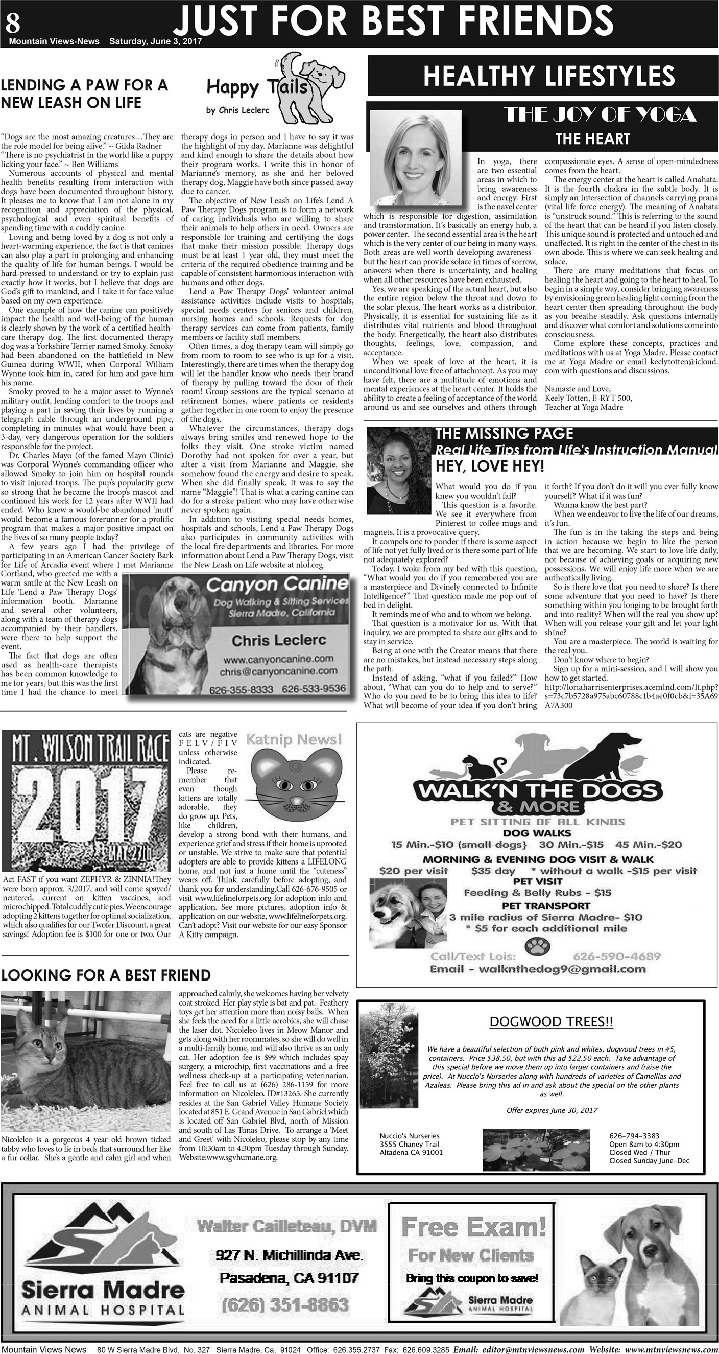 MVNews this week:  Page A:8