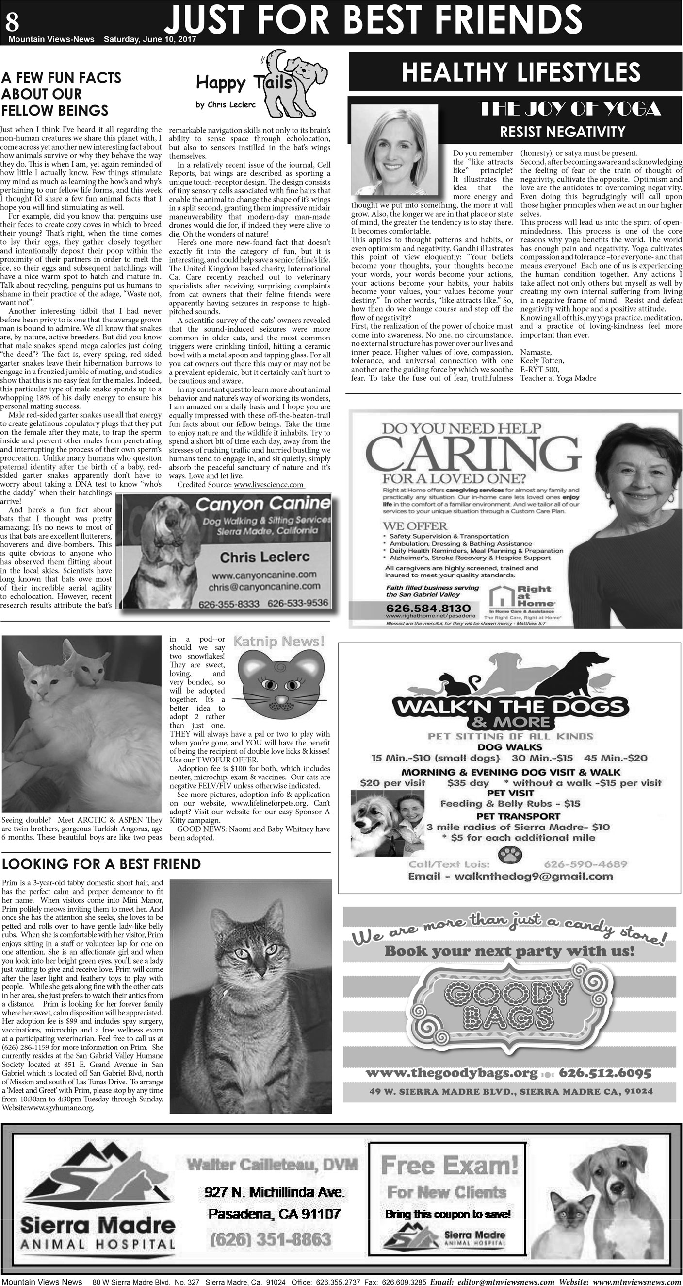 MVNews this week:  Page A:8