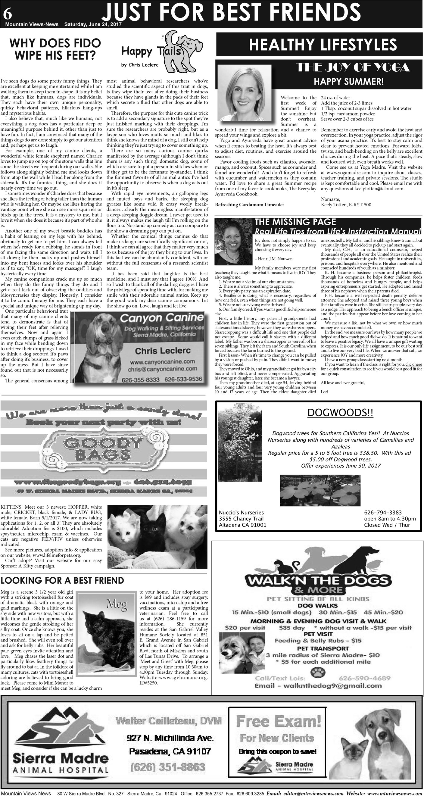 MVNews this week:  Page A:8