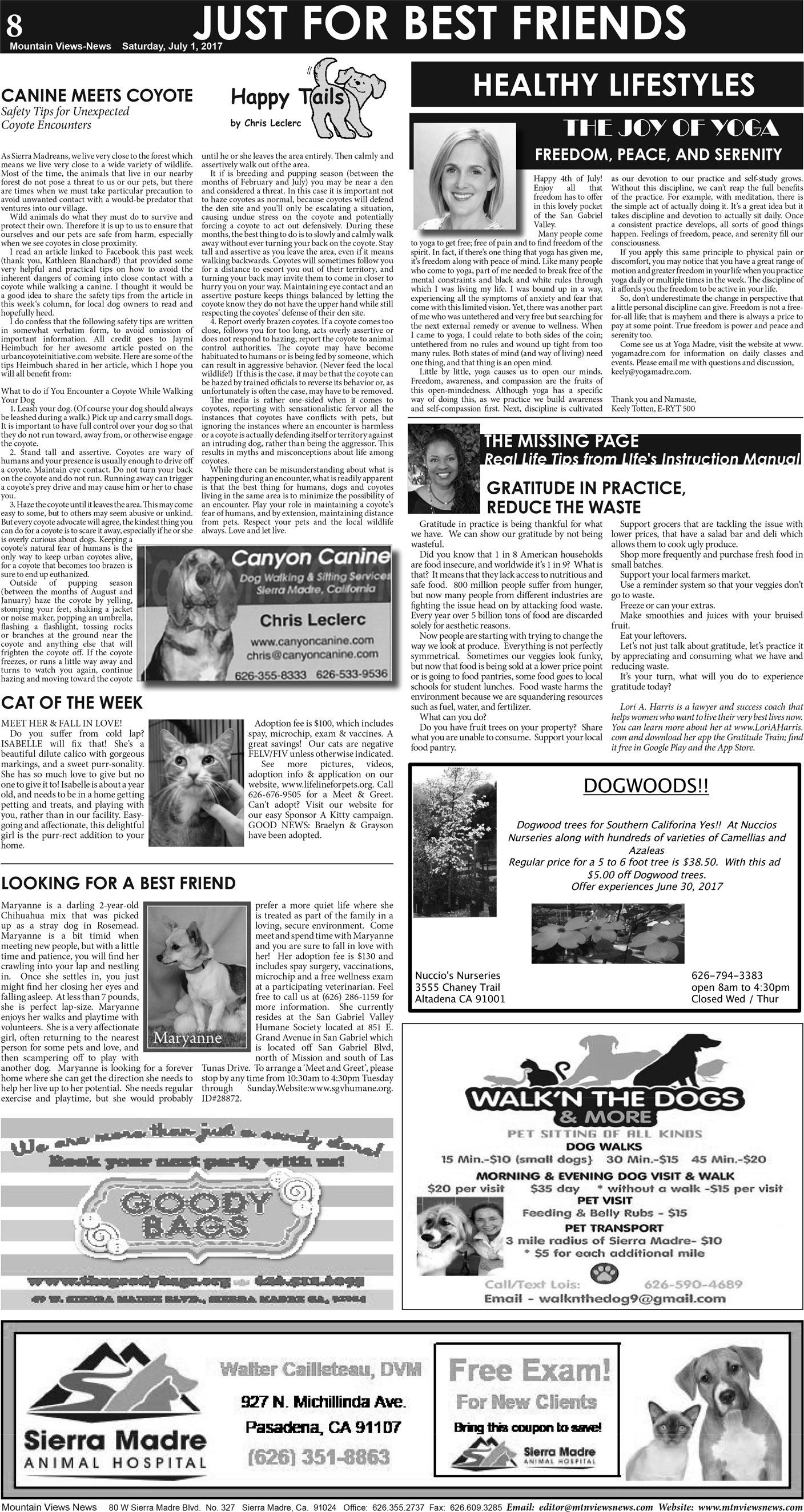 MVNews this week:  Page A:8