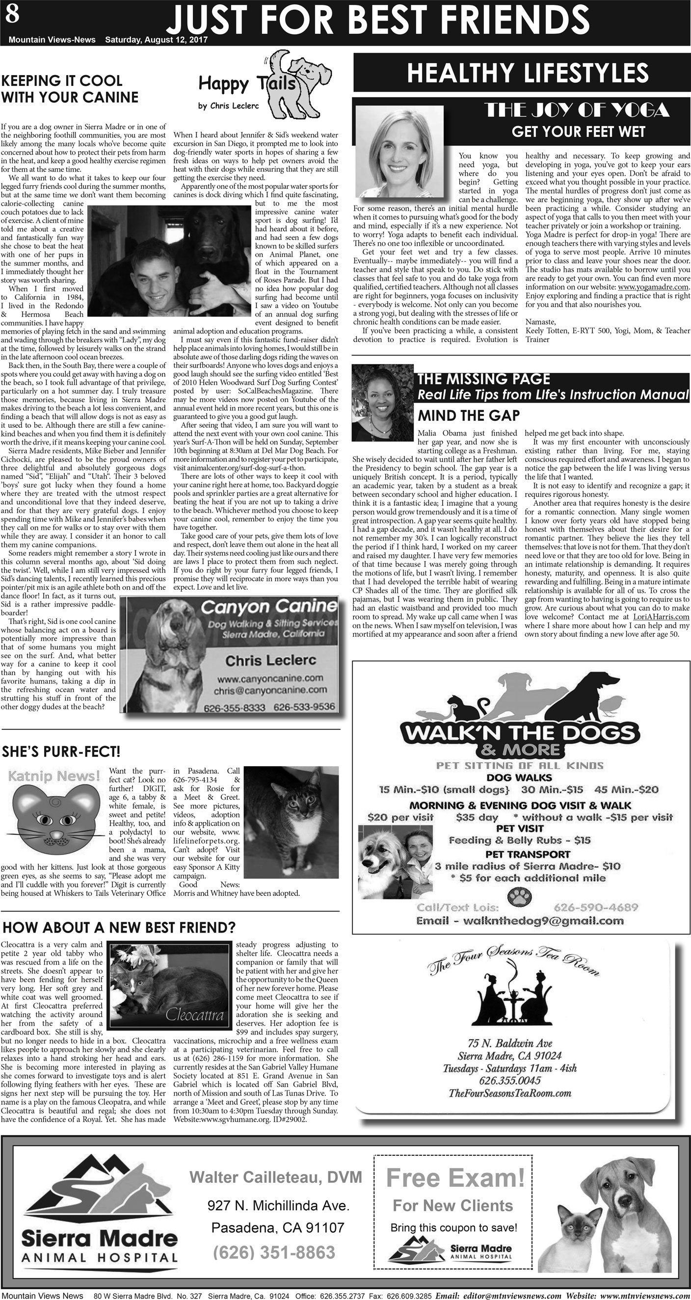 MVNews this week:  Page A:8