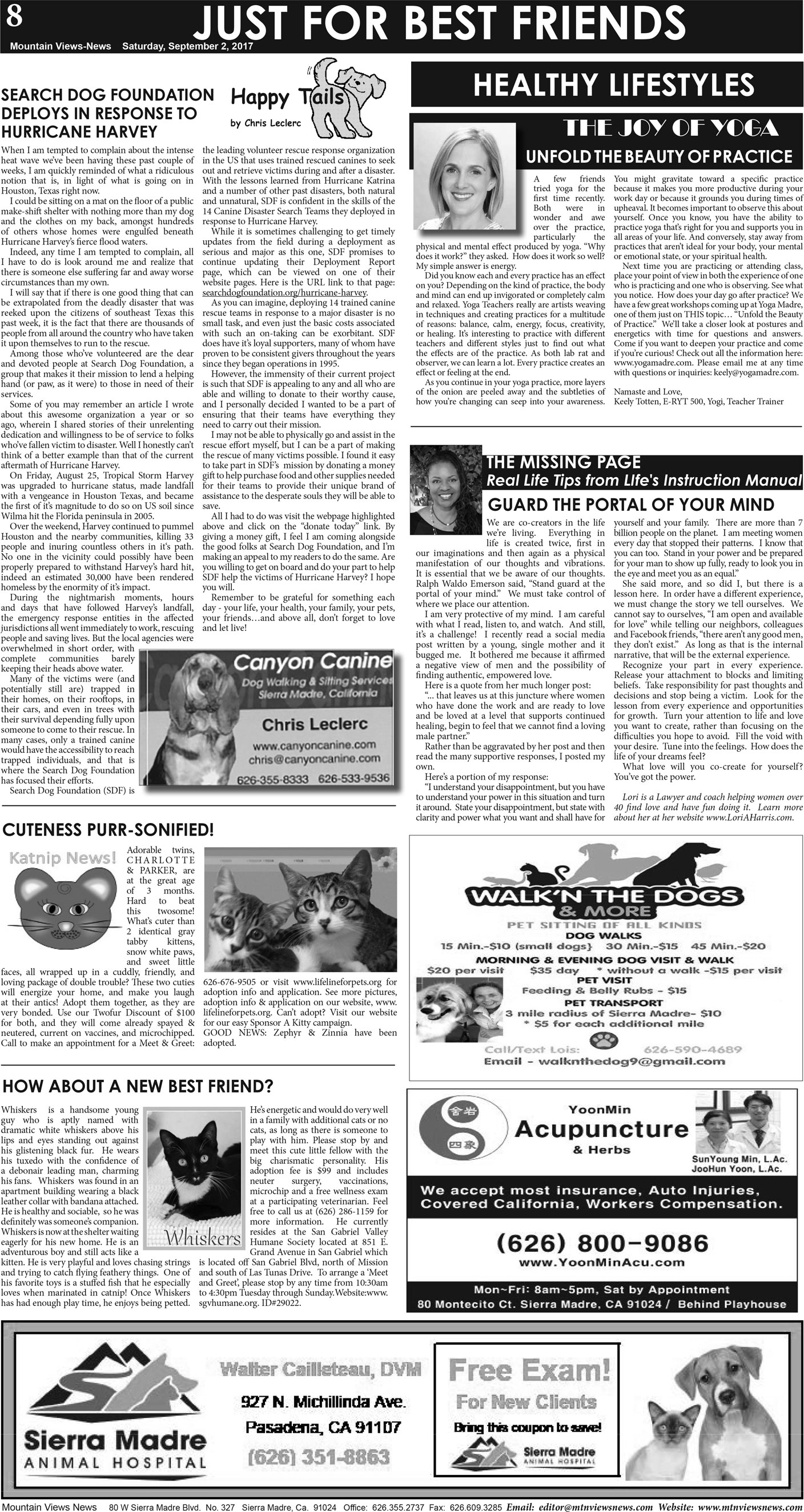 MVNews this week:  Page A:8
