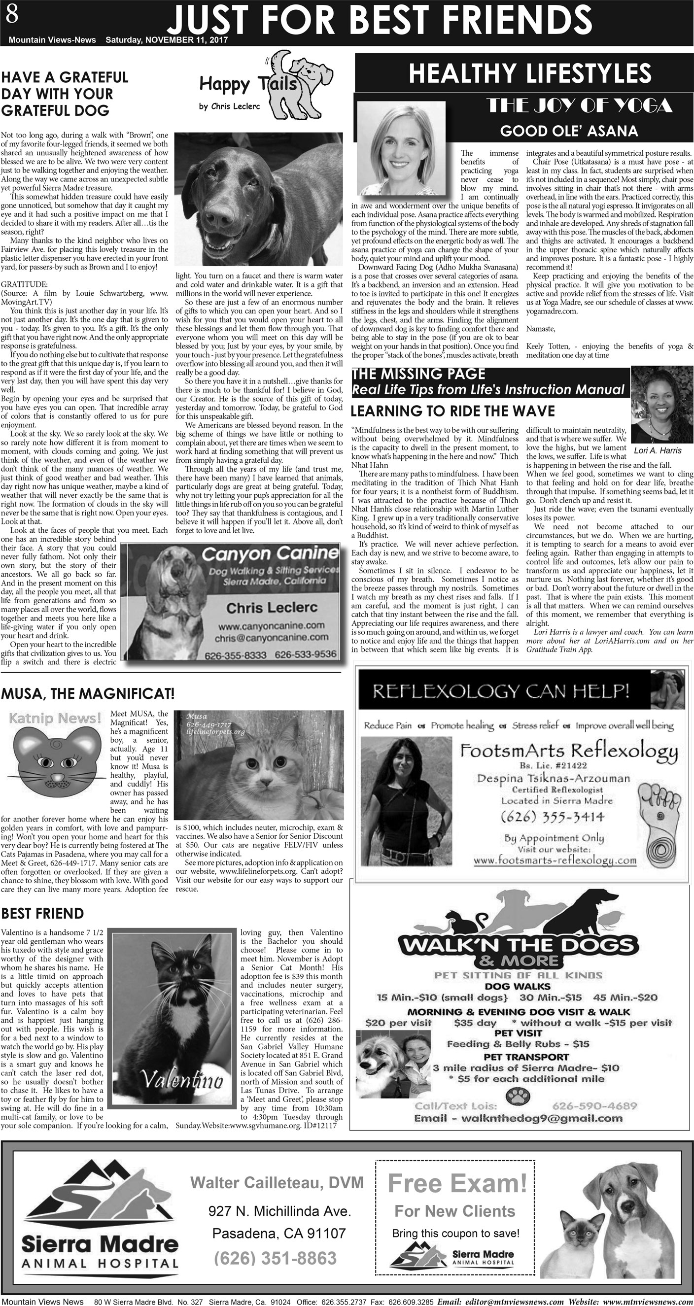 MVNews this week:  Page A:8