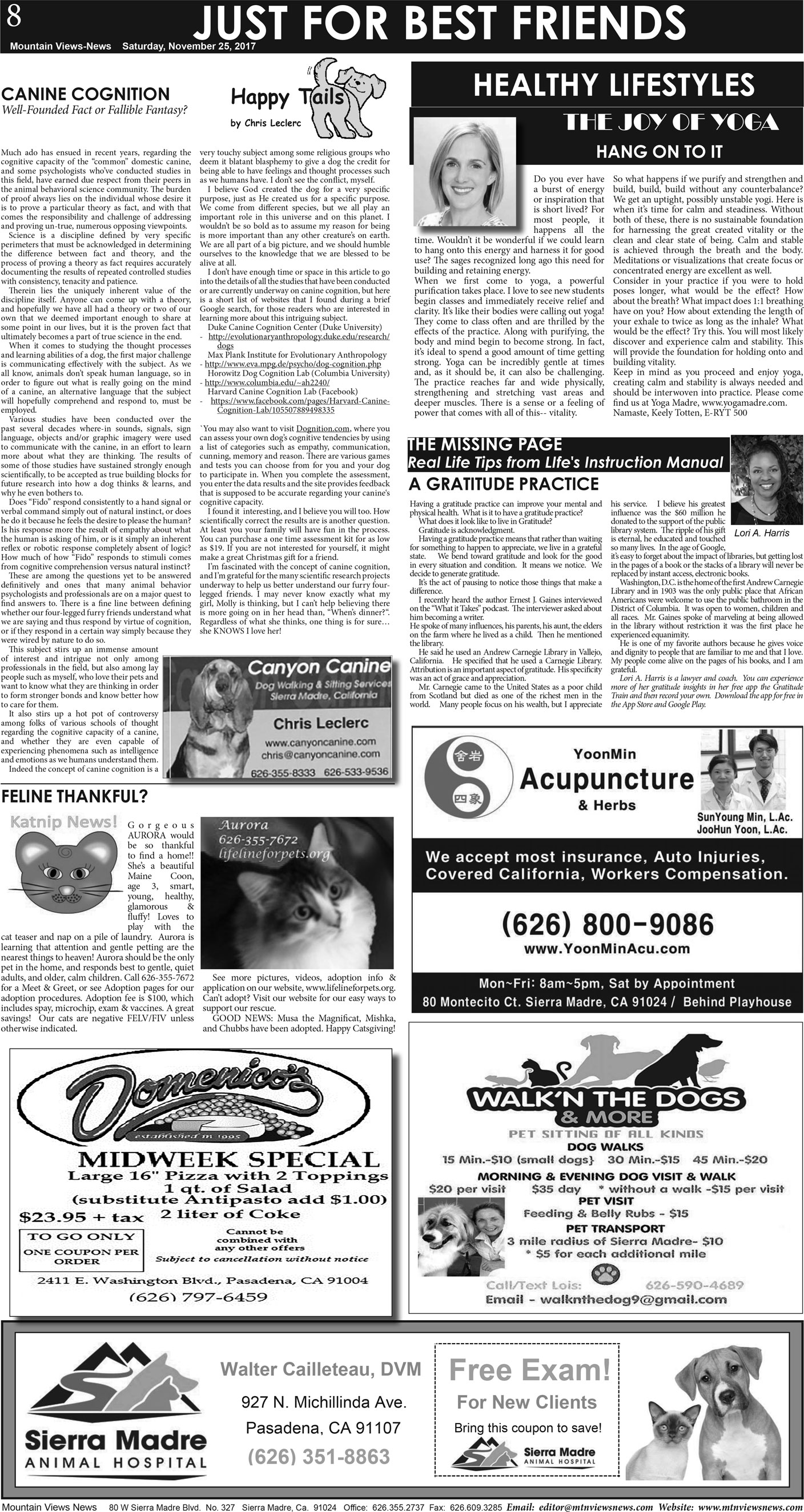 MVNews this week:  Page A:8