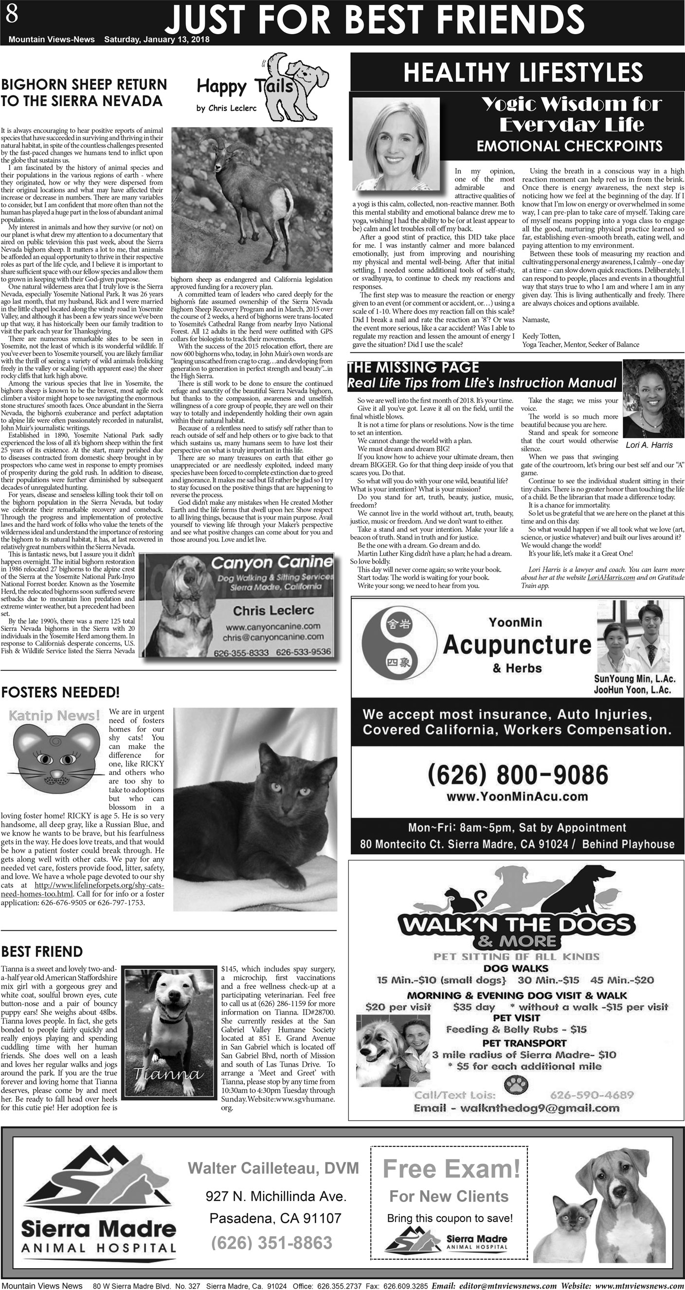 MVNews this week:  Page A:8