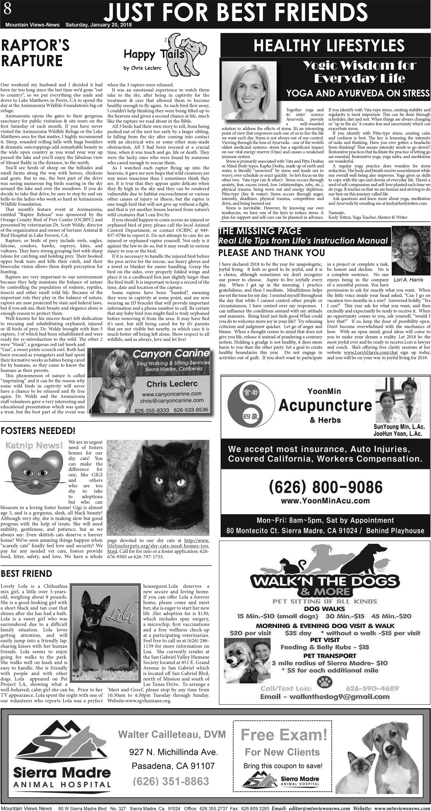 MVNews this week:  Page A:8