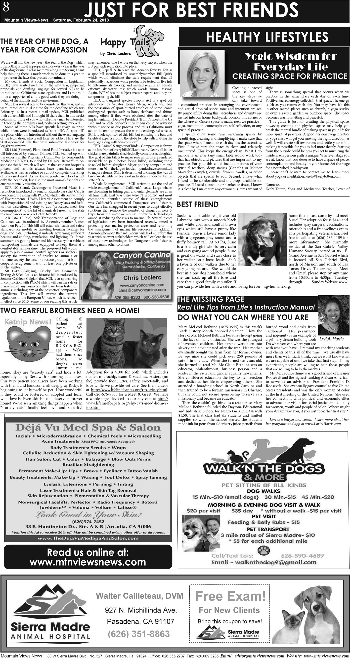 MVNews this week:  Page A:8