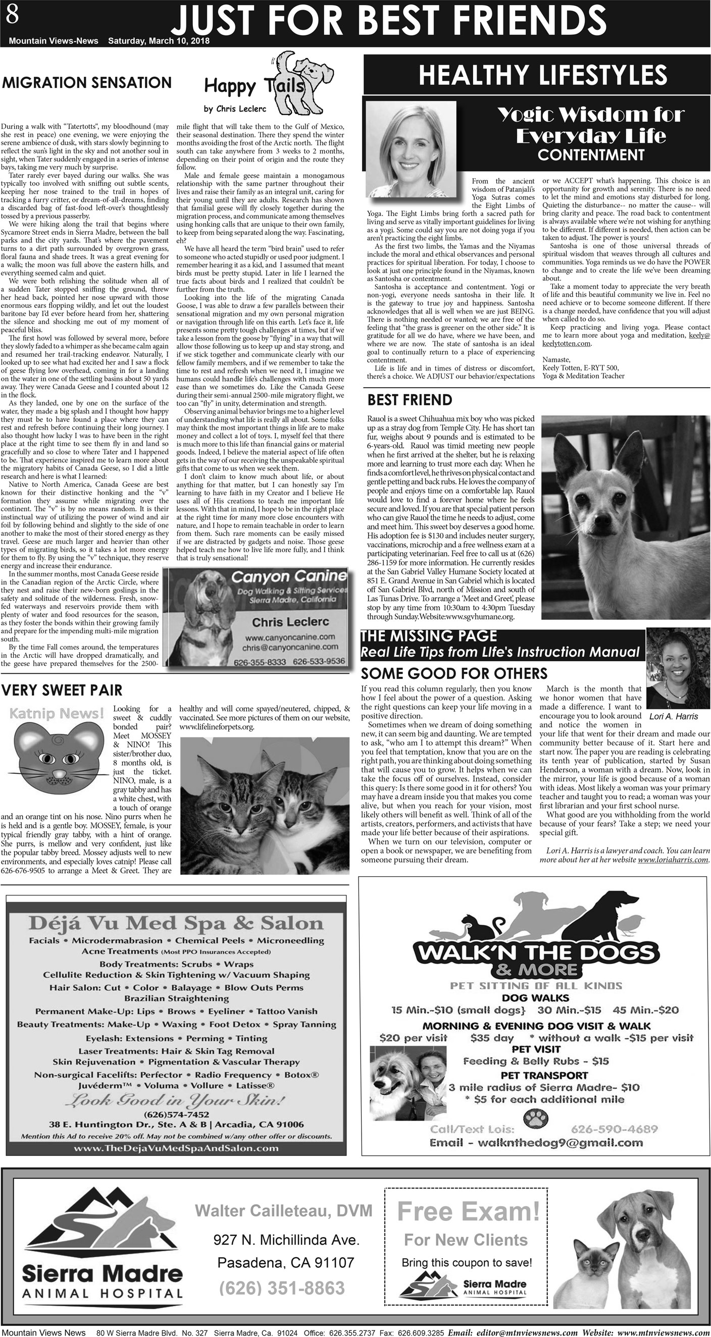 MVNews this week:  Page A:8