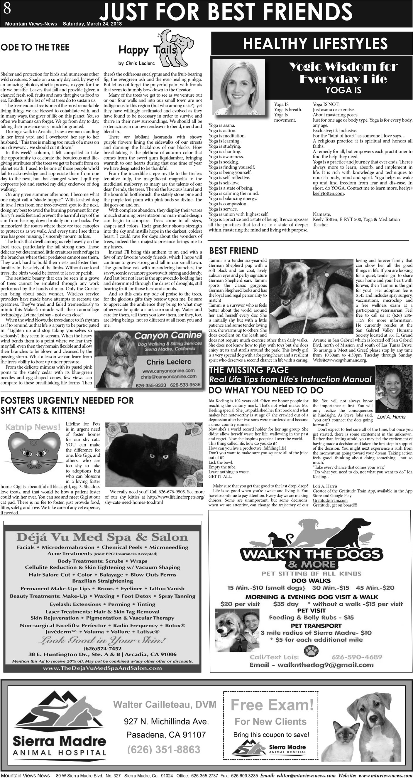 MVNews this week:  Page A:8