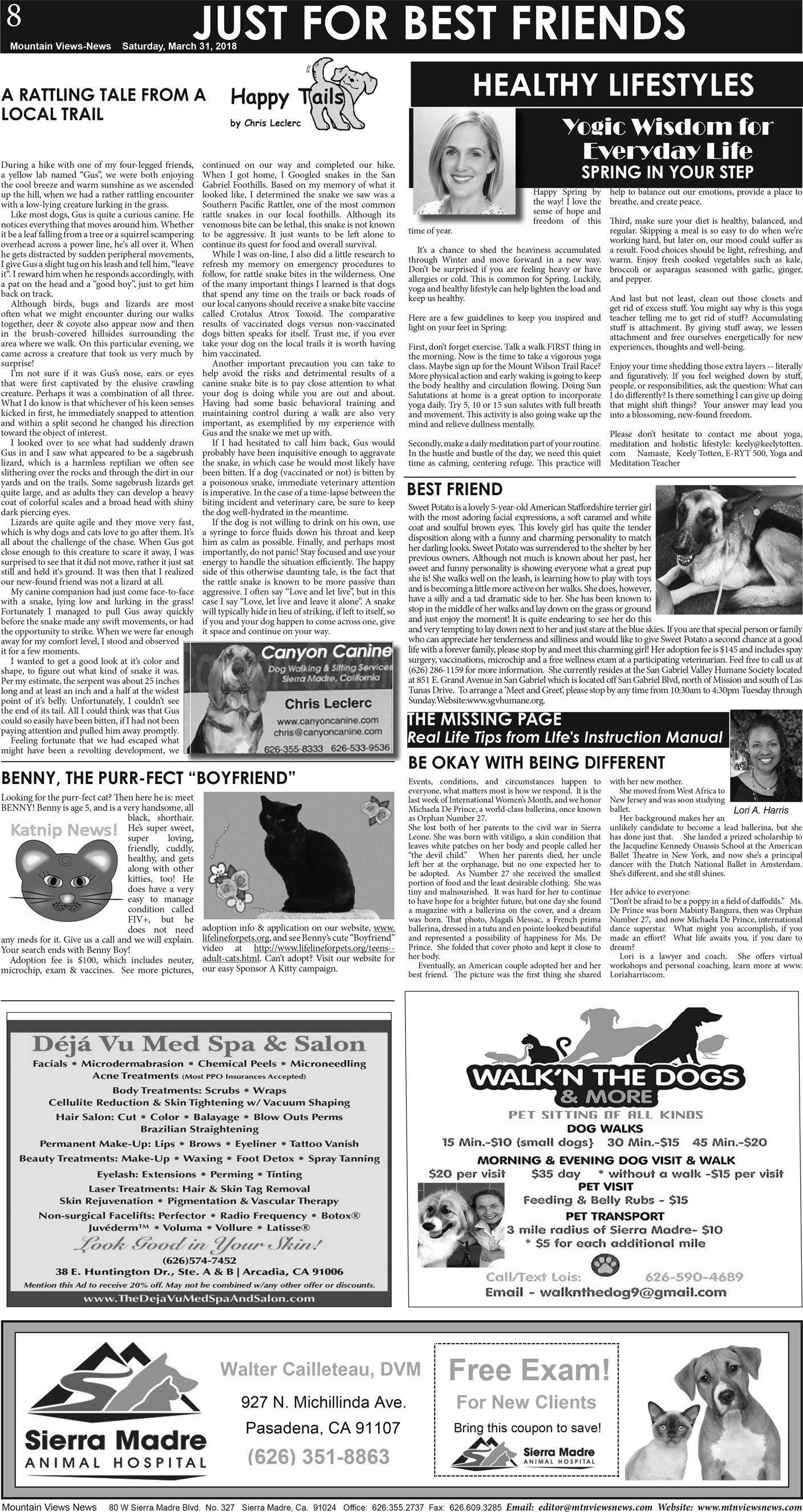 MVNews this week:  Page A:8