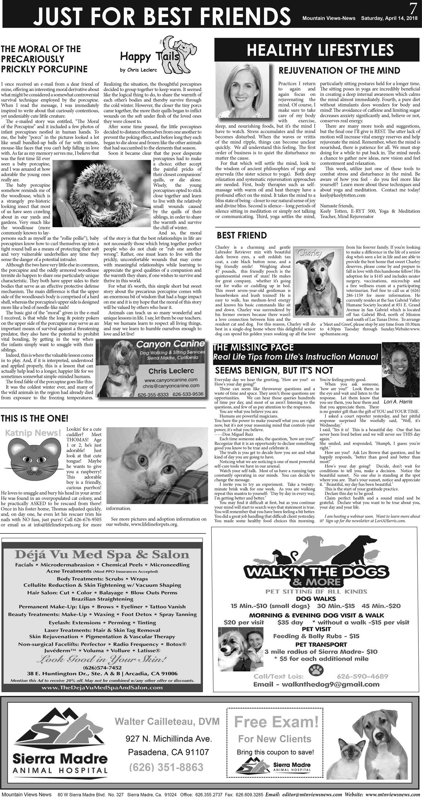 MVNews this week:  Page A:7