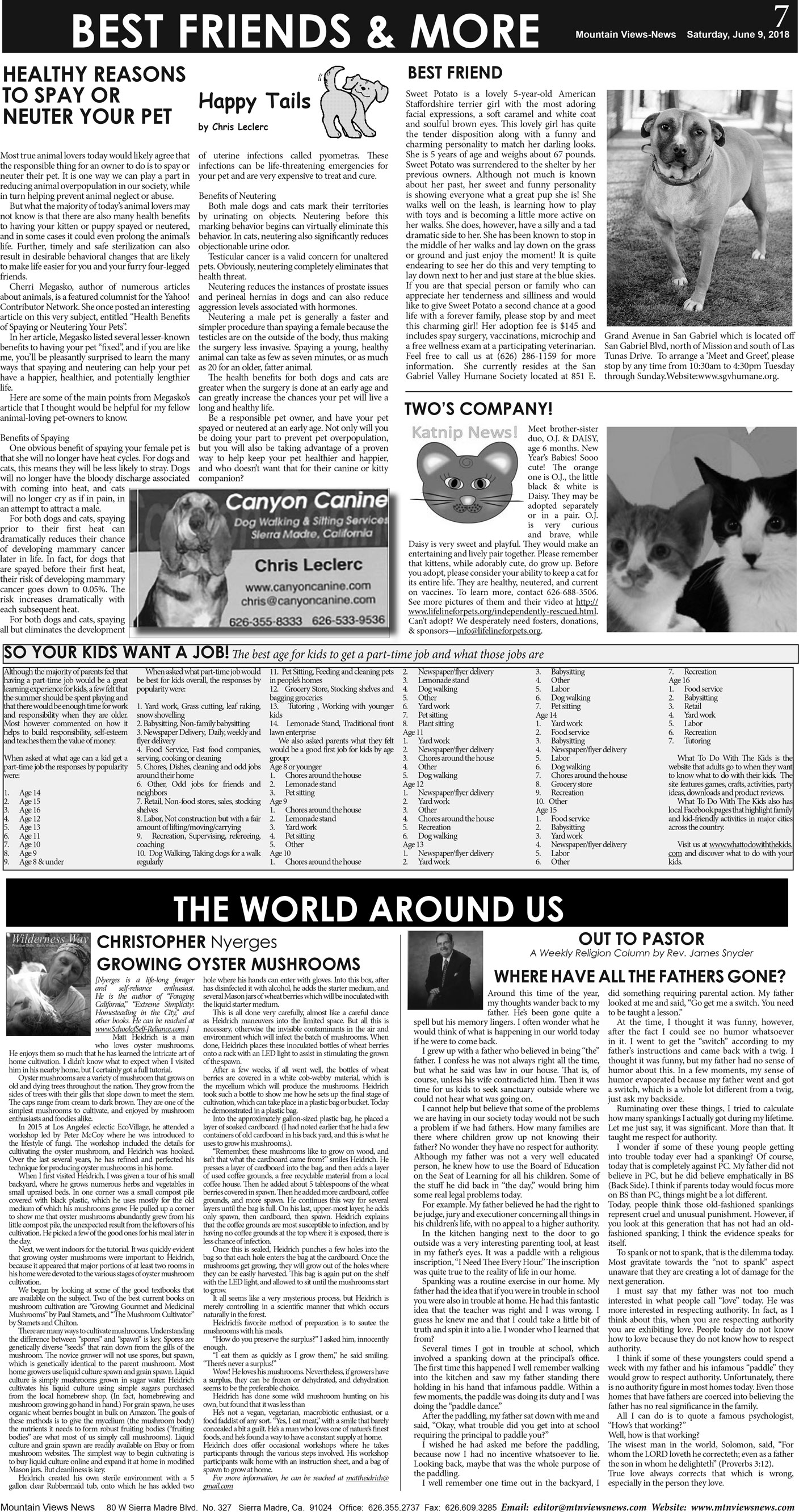 MVNews this week:  Page A:7